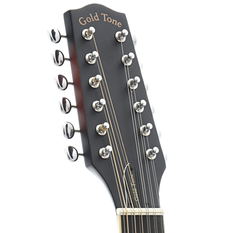 Front Headstock of Gold Tone F-12 12-String Manditar 