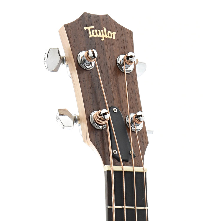 Front Headstock of Taylor GS Mini-e Maple Bass Acoustic Bass Guitar 