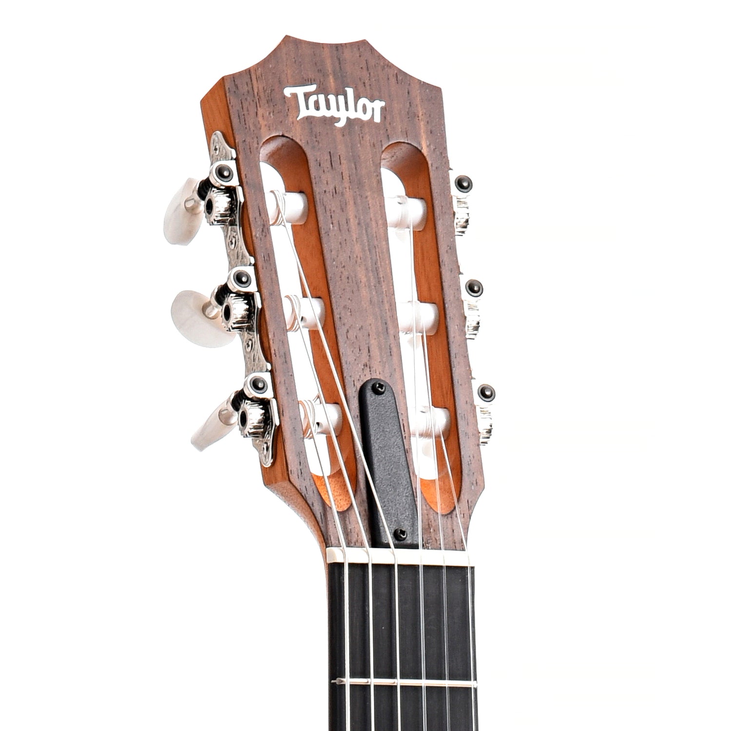 Front headstock of Taylor Academy 12e-N Nylon String Acoustic