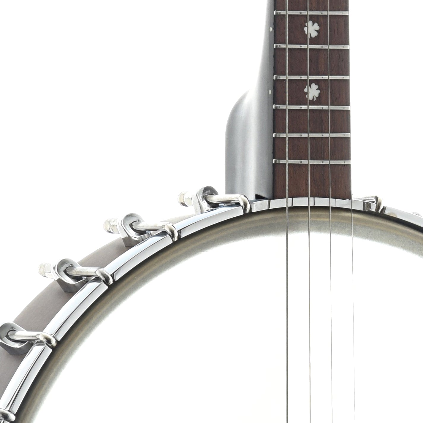 Image 5 of Gold Tone Tenor Banjo & Gigbag, 12" Rim, 19 Frets - SKU# GTIT19 : Product Type Tenor & Plectrum Banjos : Elderly Instruments