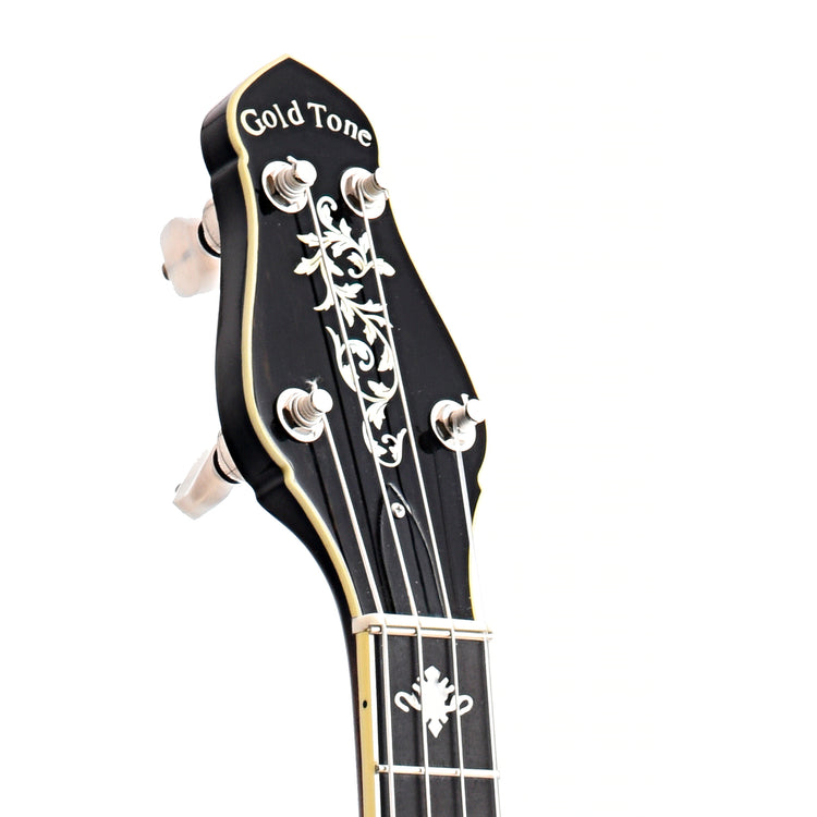 Image 6 of Gold Tone CEB-4 Cello Banjo & Case - SKU# GTCEB4 : Product Type Tenor & Plectrum Banjos : Elderly Instruments