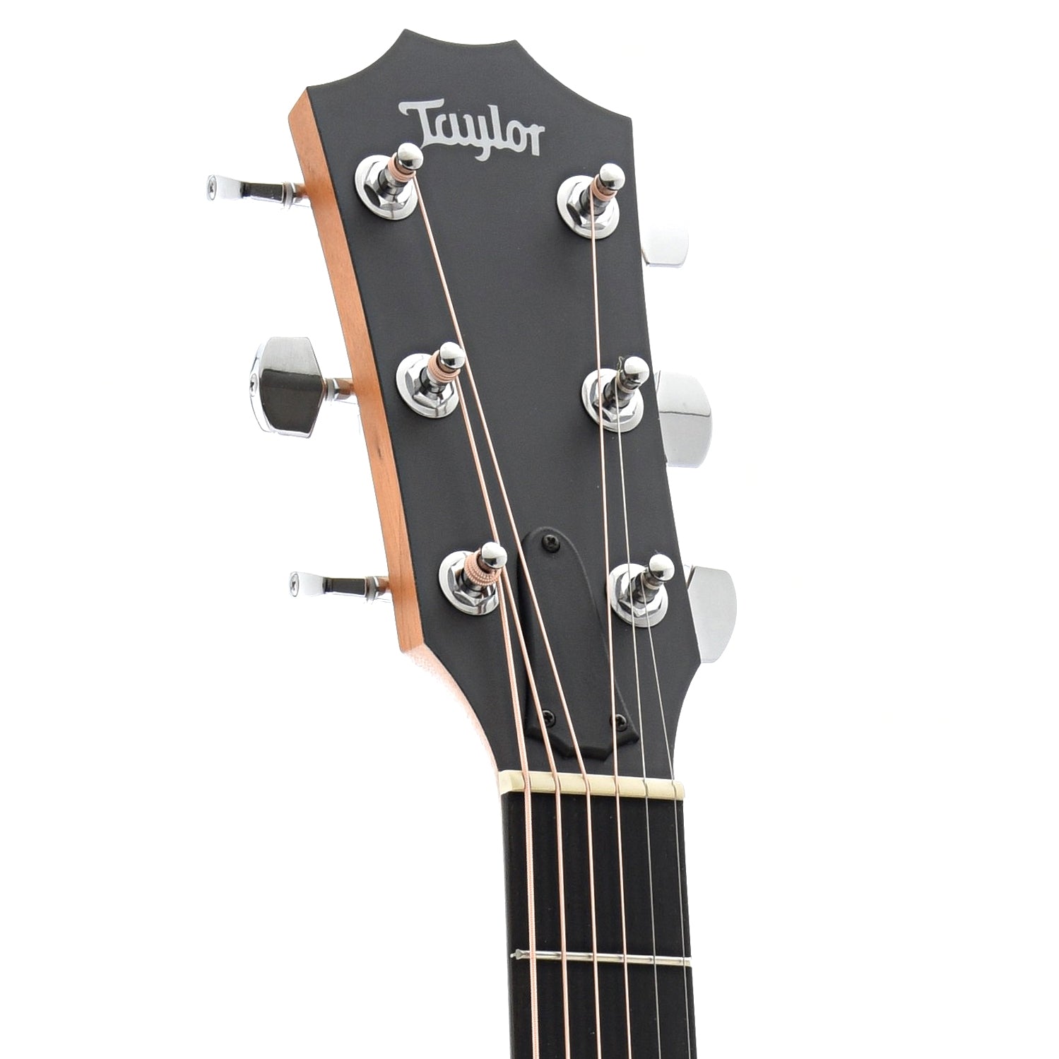 Front Headstock of Taylor Academy 12e Acoustic Guitar 