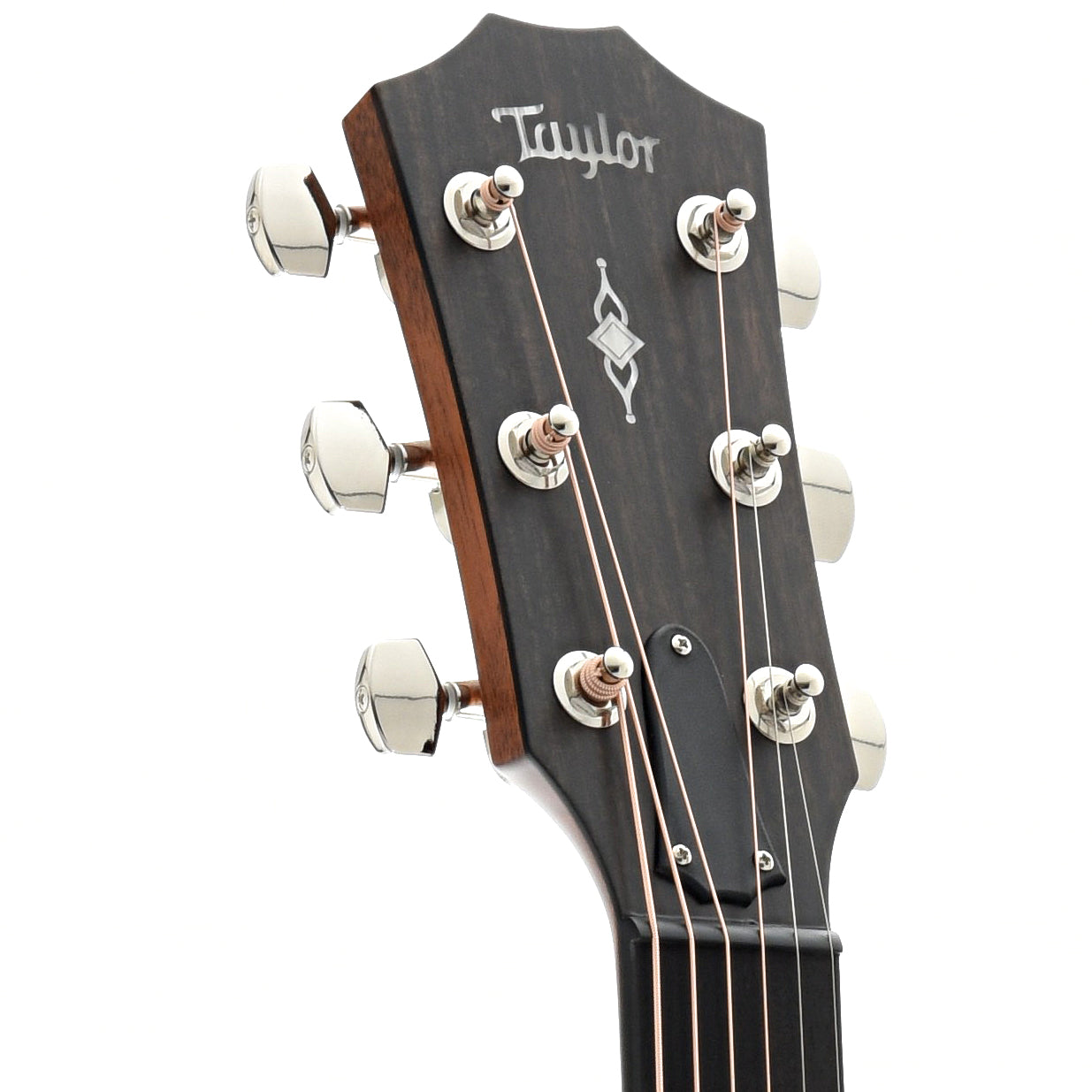 Front Headstock of Taylor 314ce Acoustic Guitar