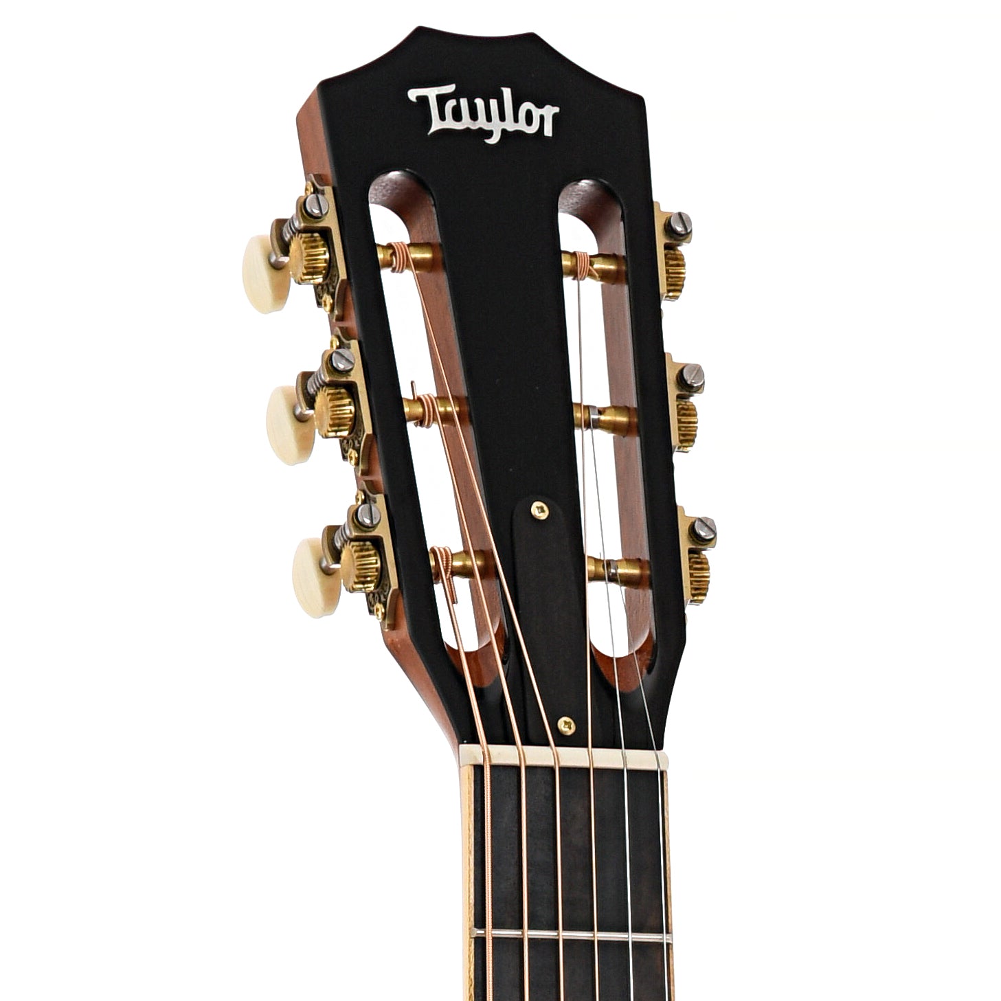 Front headstock of Taylor 812ce 12-Fret Acoustic-Electric 