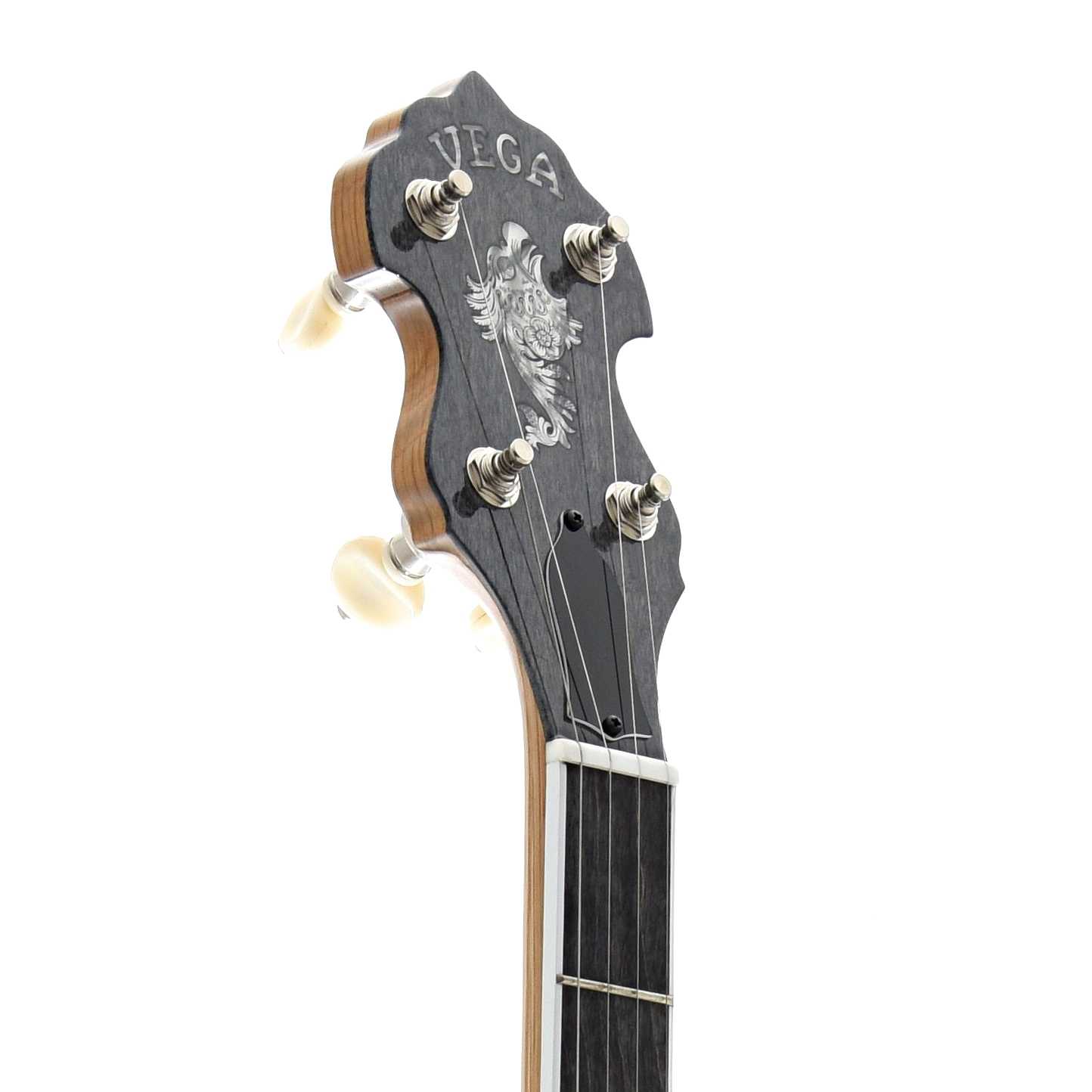 Front Headstock of Vega  (by Deering) White Oak Longneck Openback Banjo