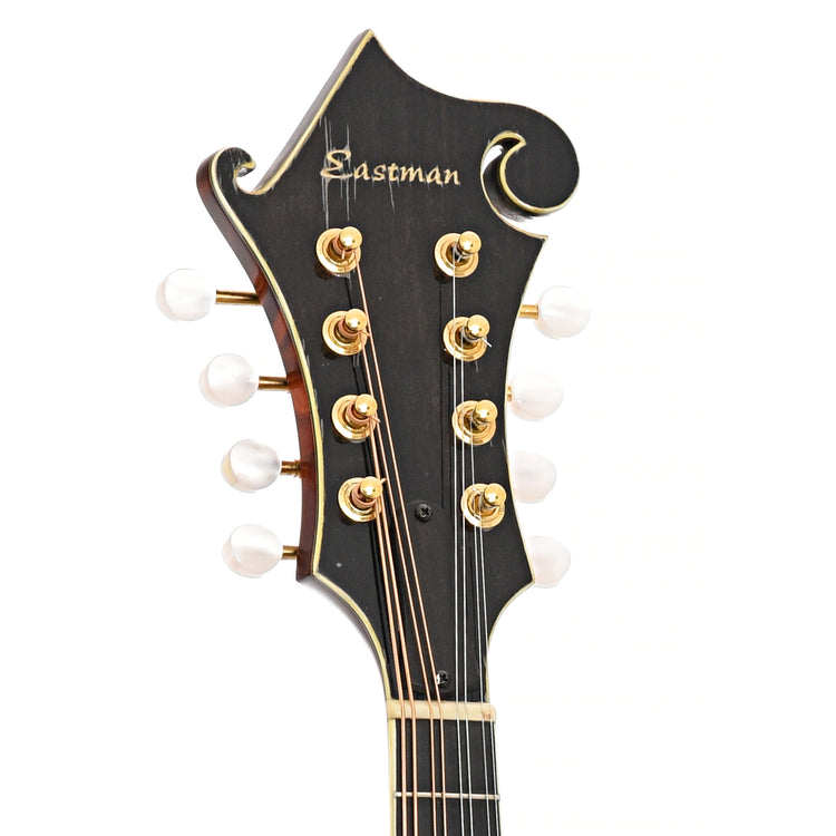 Front headstock of Eastman MD815 Mandolin