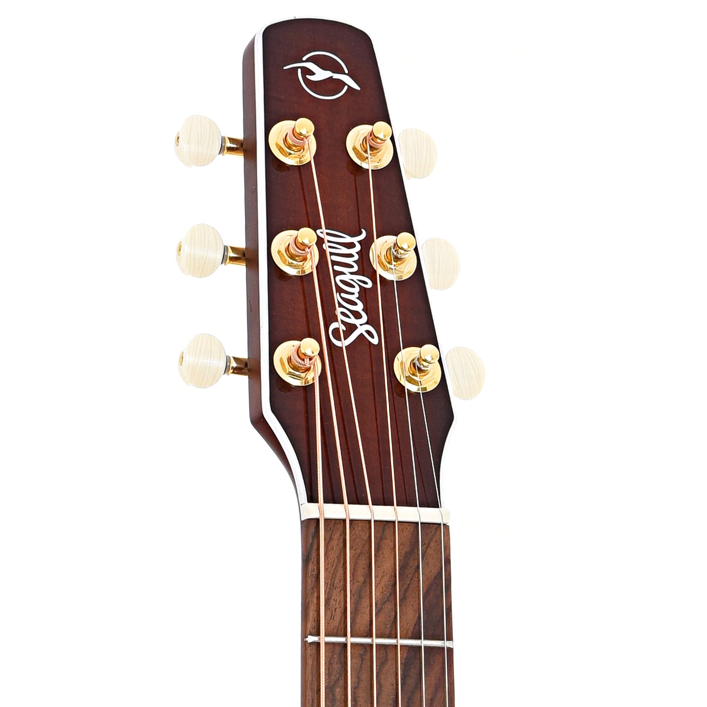 Front headstock of Seagull Performer Cutaway Concert Hall Burnt Umber