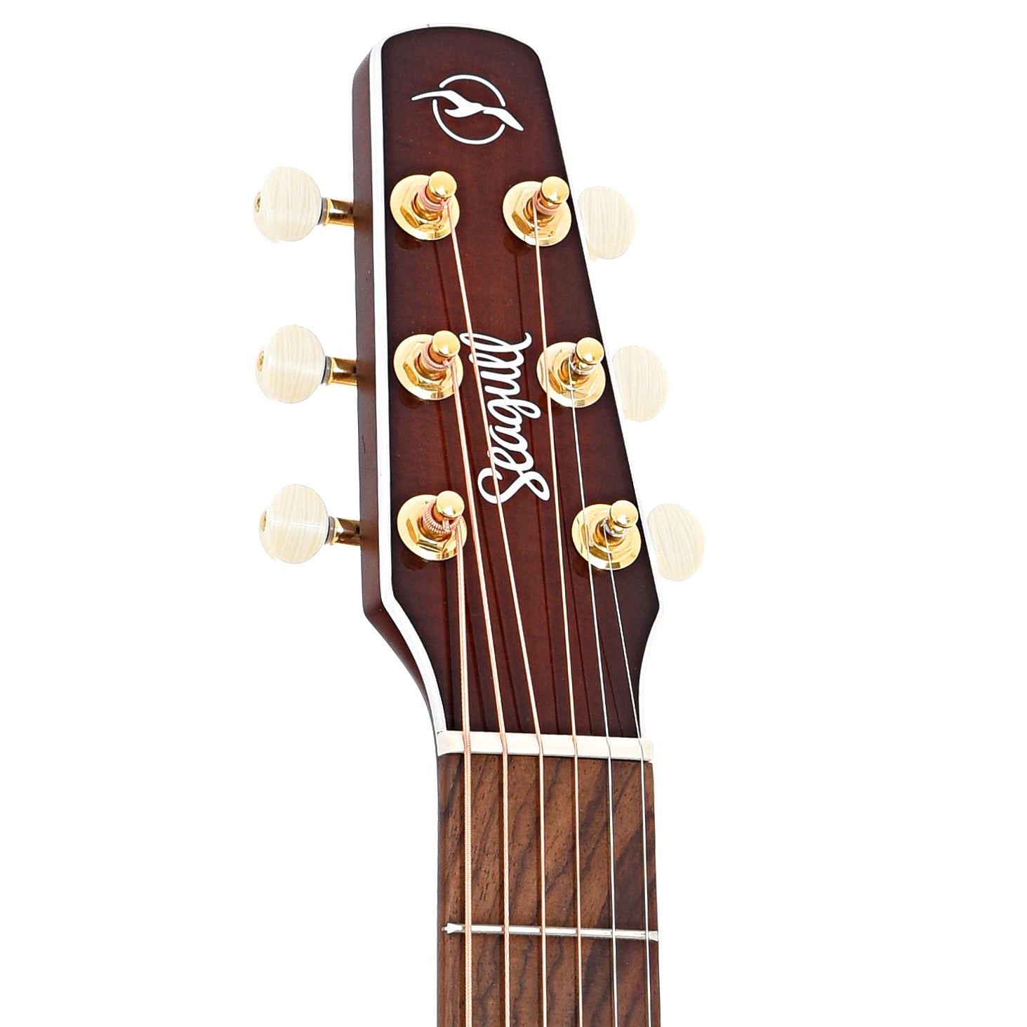 Front headstock of Seagull Performer Cutaway Concert Hall Burnt Umber