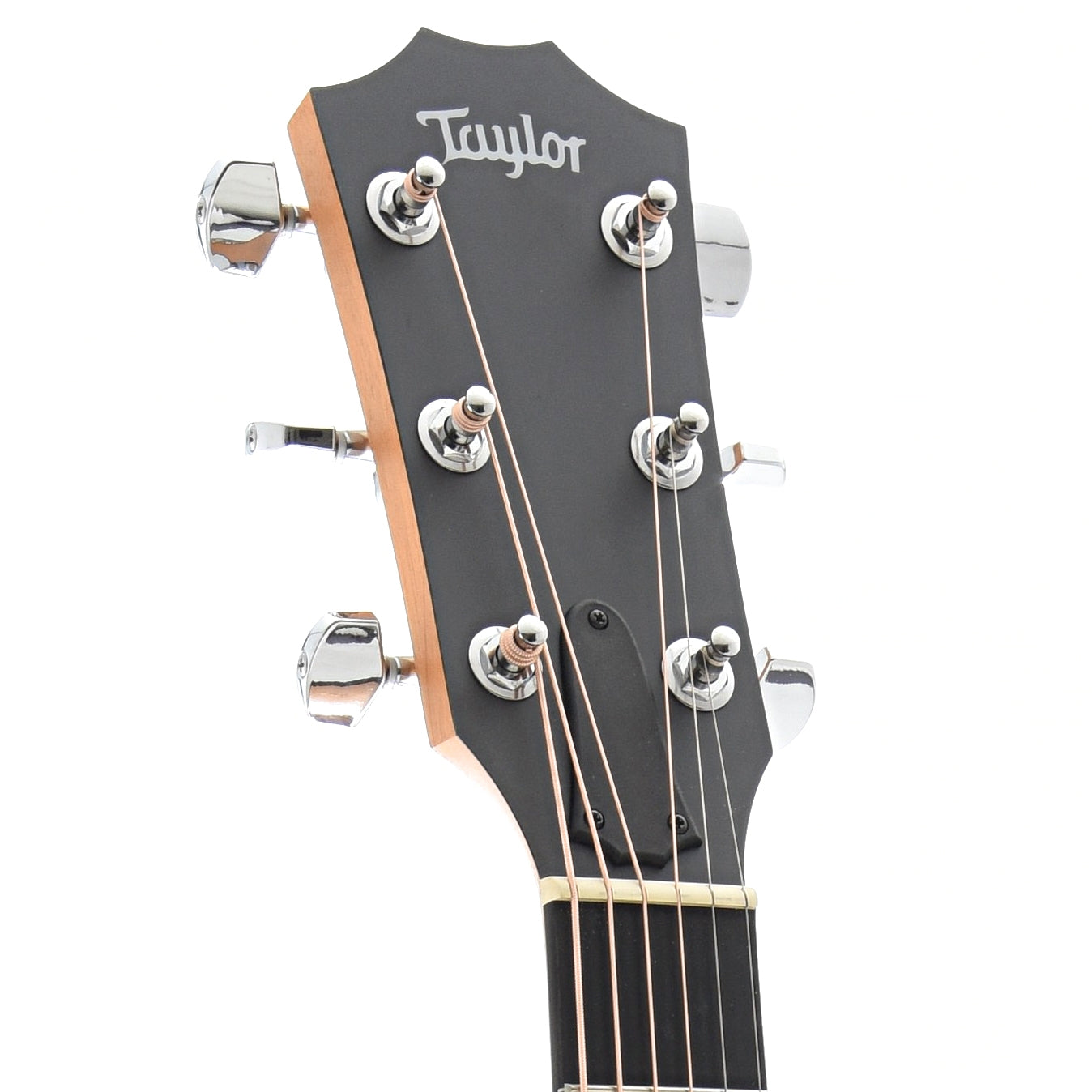 Front Headstock of Taylor Academy 10e Acoustic Guitar