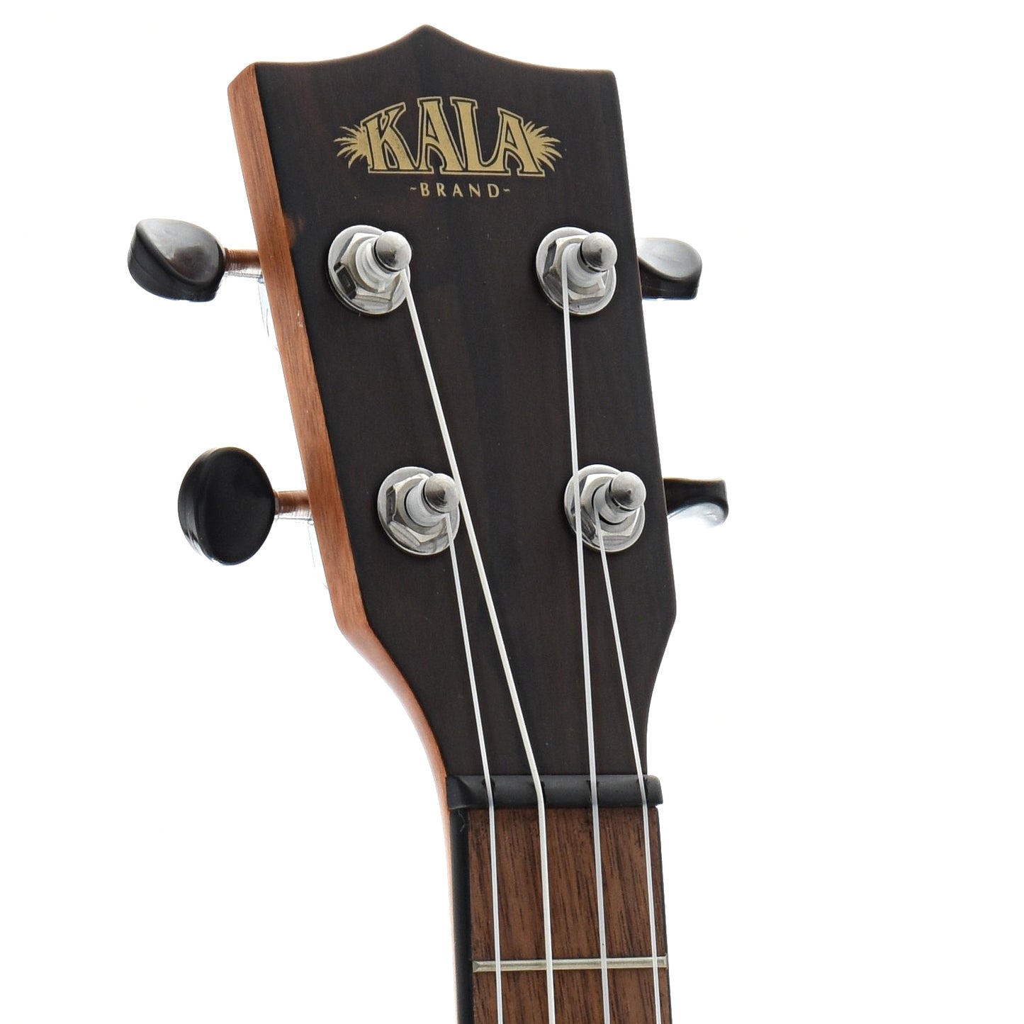 Image 6 of Kala KA-ZCT-T Ziricote Series Ukulele, Tenor - SKU# KAZCT-T : Product Type Tenor Ukuleles : Elderly Instruments