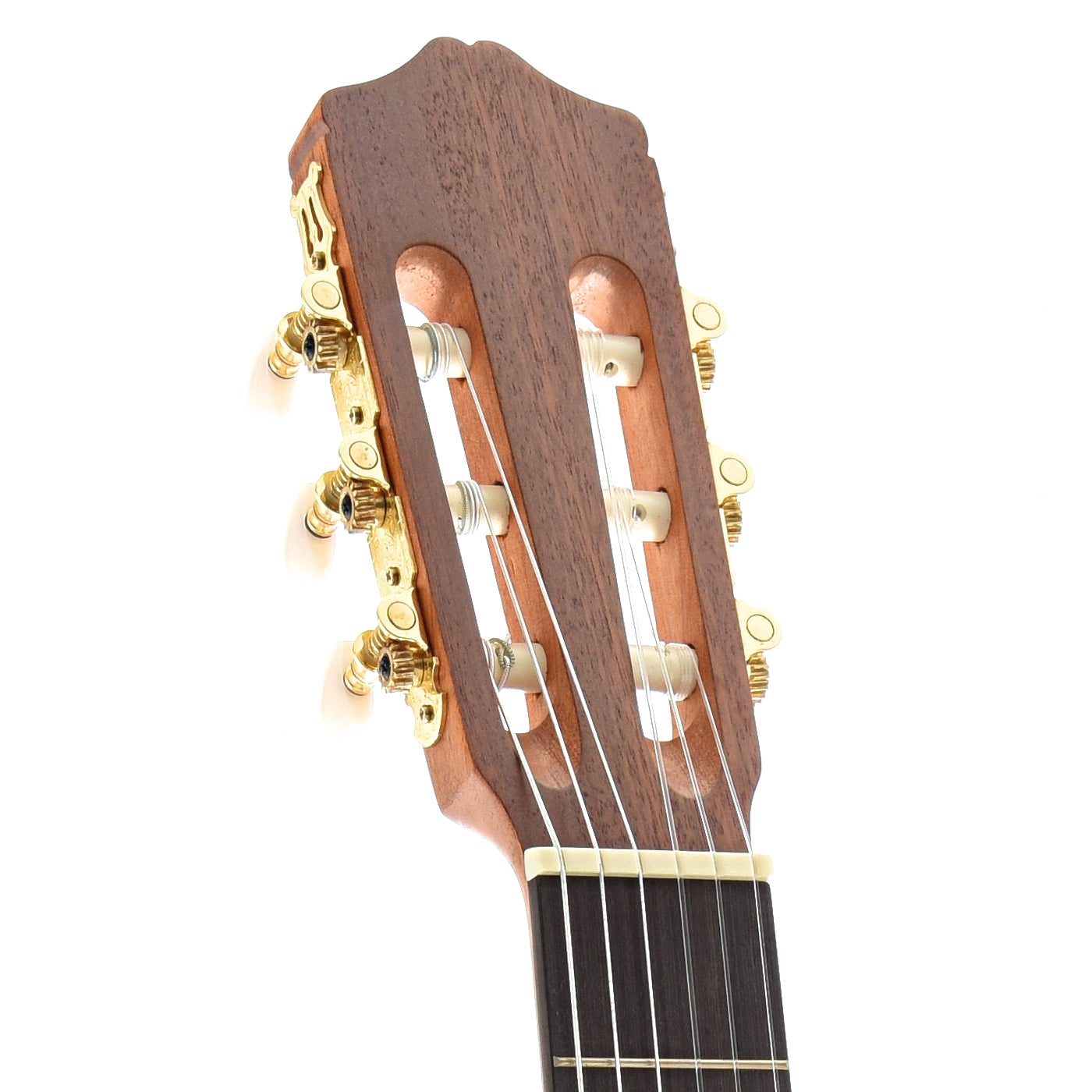 Image 7 of Cordoba C1M Full-Size Nylon String Guitar - SKU# CORC1M : Product Type Classical & Flamenco Guitars : Elderly Instruments