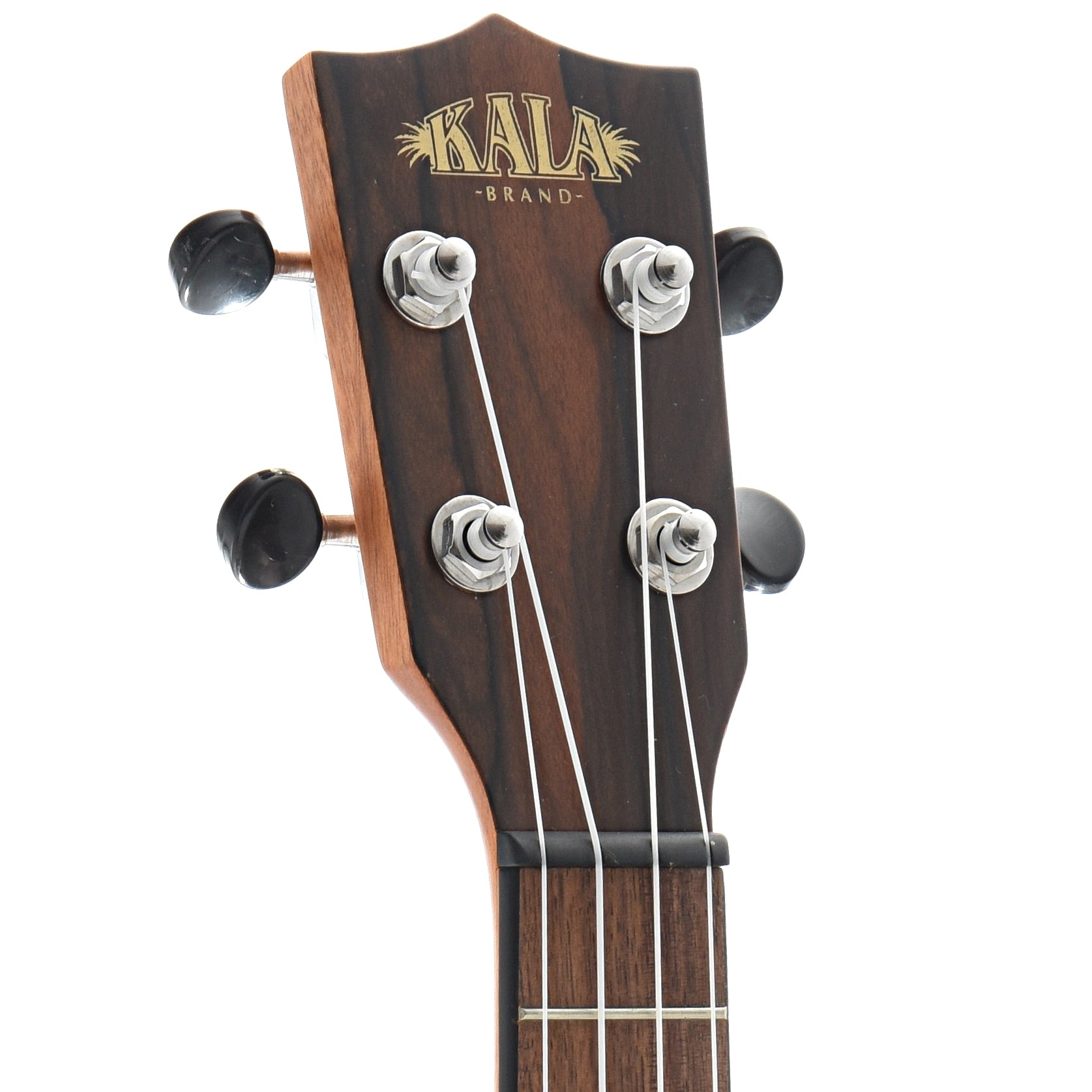 Image 6 of Kala KA-ZCT-C Ziricote Series Ukulele, Concert - SKU# KAZCT-C : Product Type Concert Ukuleles : Elderly Instruments