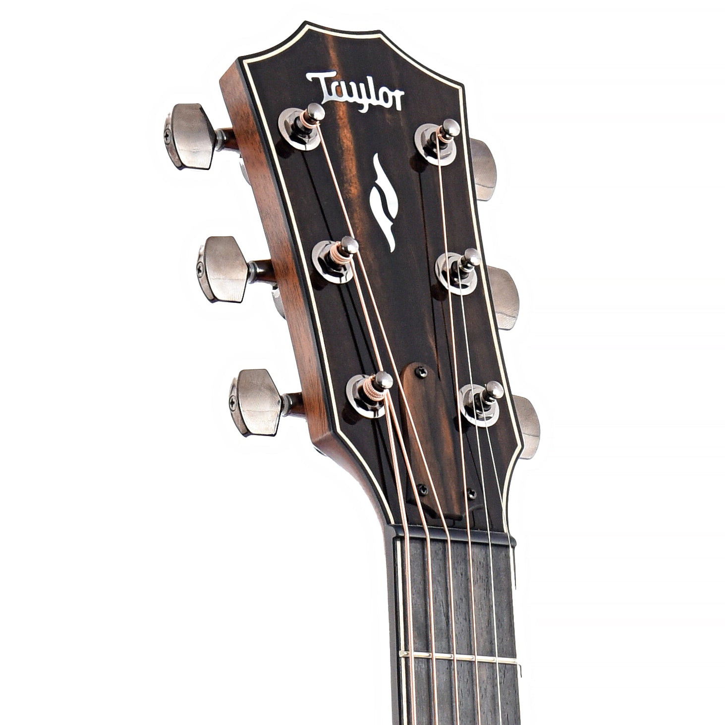 Front Headstock of Taylor 814ce Acoustic Guitar 