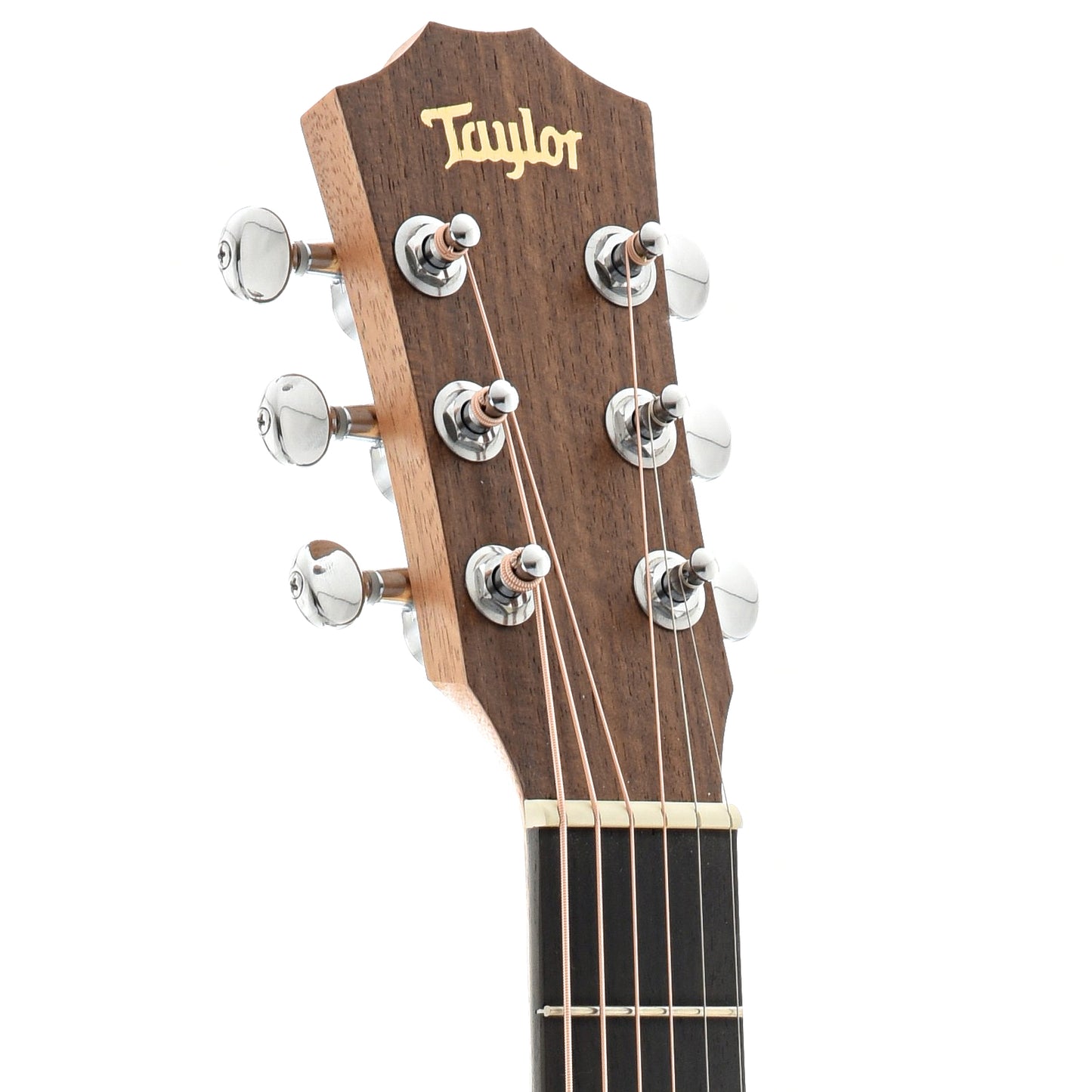 Front Headstock of Taylor BT2e Mahogany Baby Taylor Guitar 