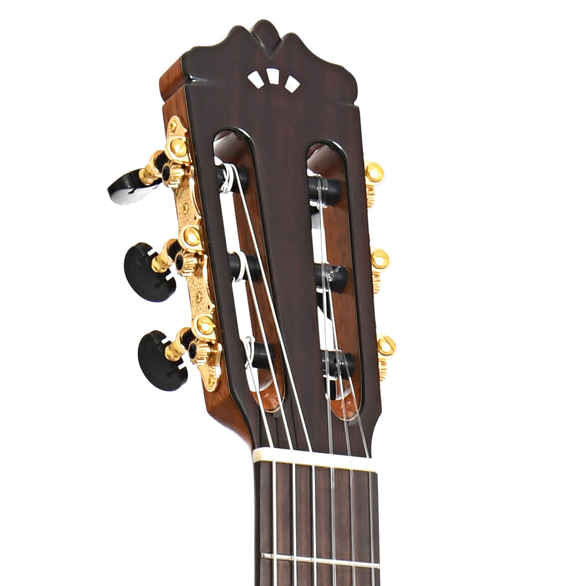 Image 8 of Cordoba C9 Parlor Classical Guitar and Case - SKU# CORC9D : Product Type Classical & Flamenco Guitars : Elderly Instruments