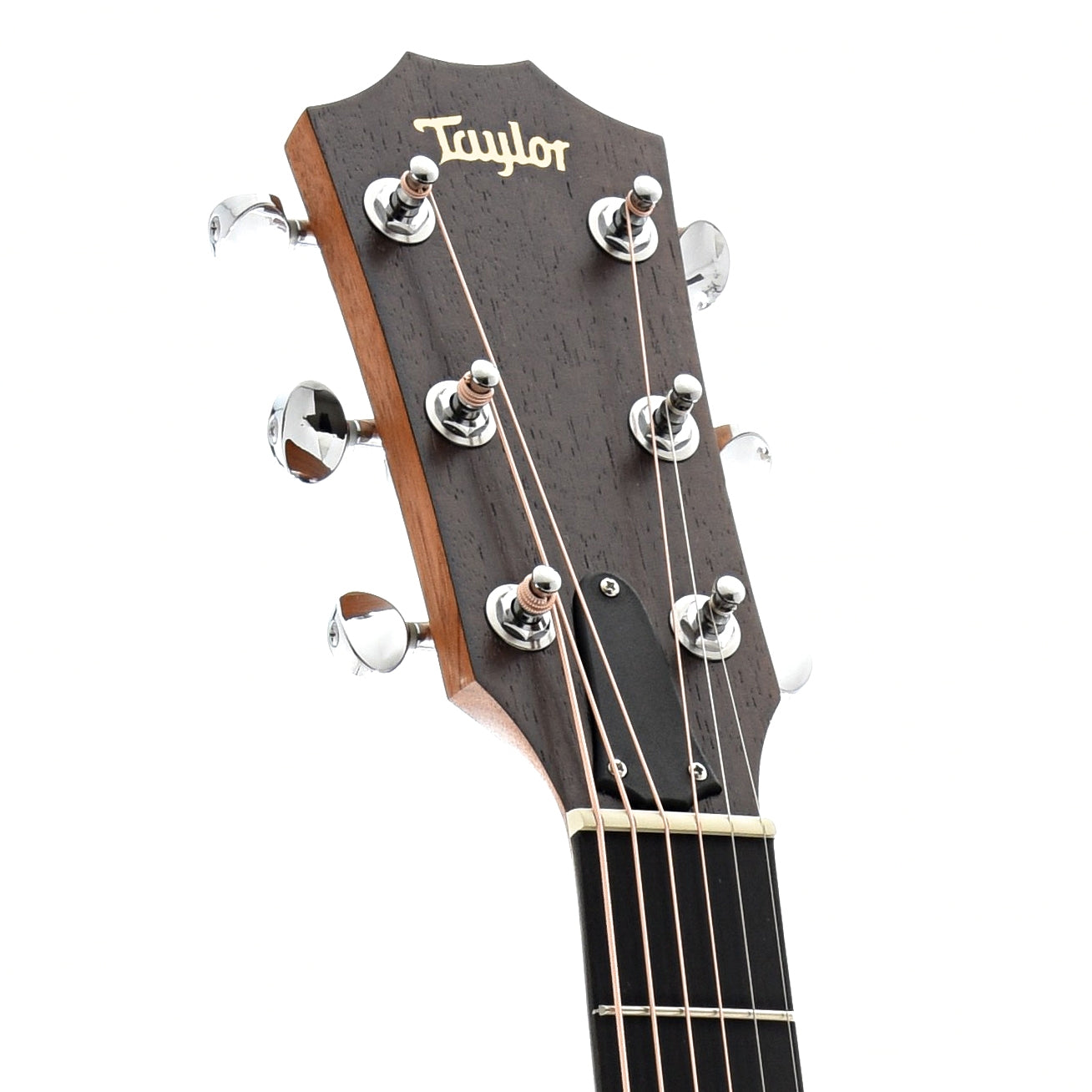 Front Headstock of Taylor BBT Big Baby Taylor Acoustic Guitar