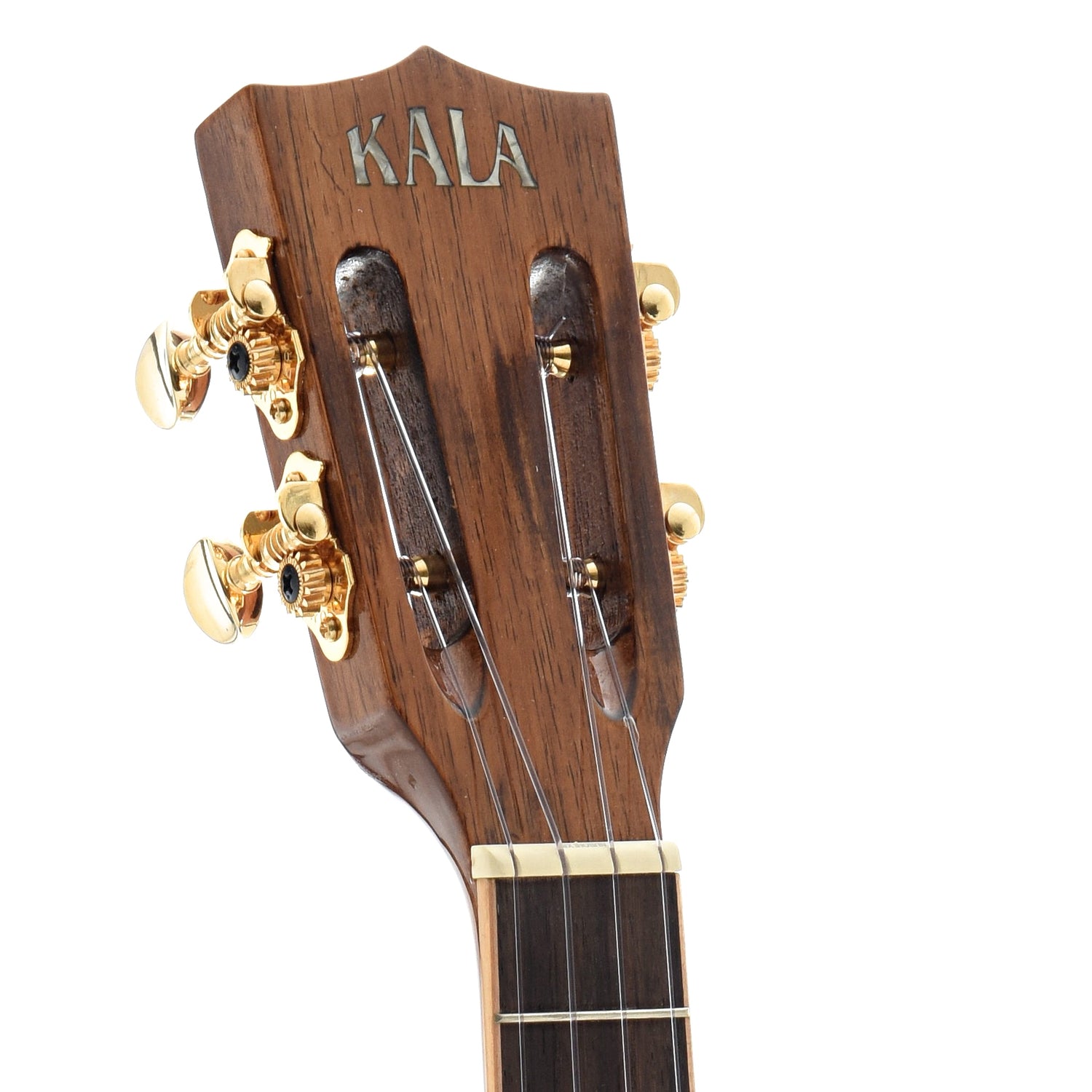 Image 6 of Kala KA-KCGE-C Koa Gloss Concert Cutaway Ukulele, with Pickup - SKU# KAKG-CEC : Product Type Concert Ukuleles : Elderly Instruments