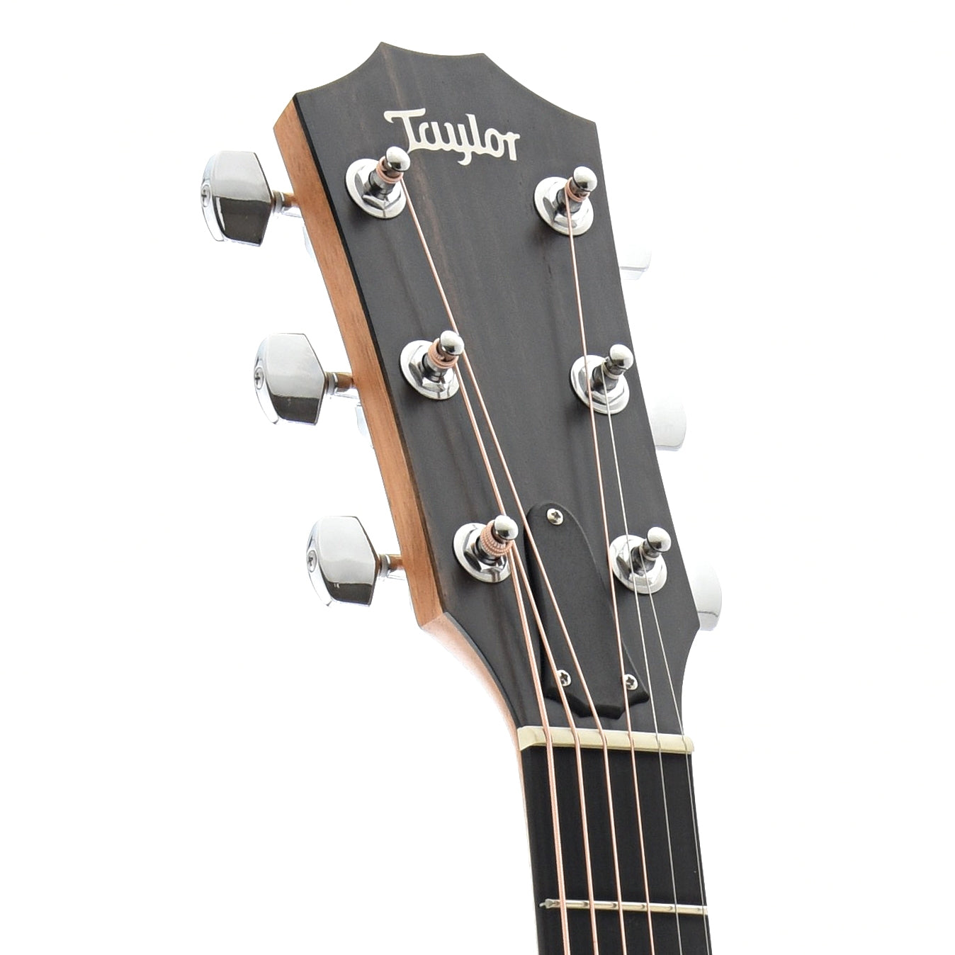 Front Headstock of Taylor 214ce-K Deluxe Acoustic Guitar