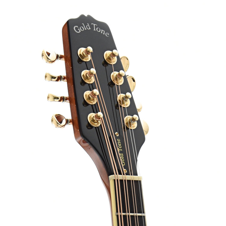 Front Headstock of Gold Tone OM-800 Plus Octave Mandolin with Pickup