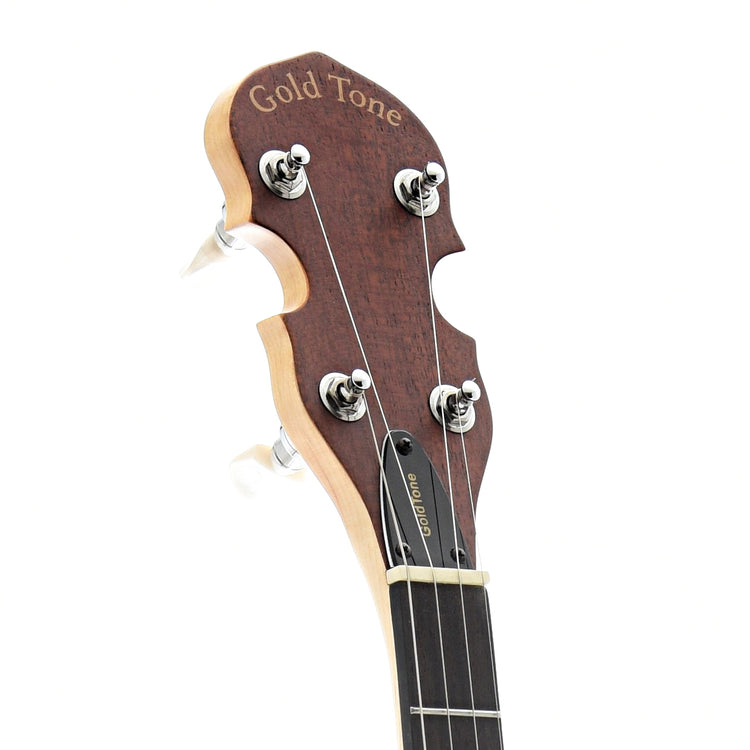 Image 6 of Gold Tone EB-5 5-String Electric Banjo & Gigbag - SKU# GTEB5 : Product Type Other Banjos : Elderly Instruments
