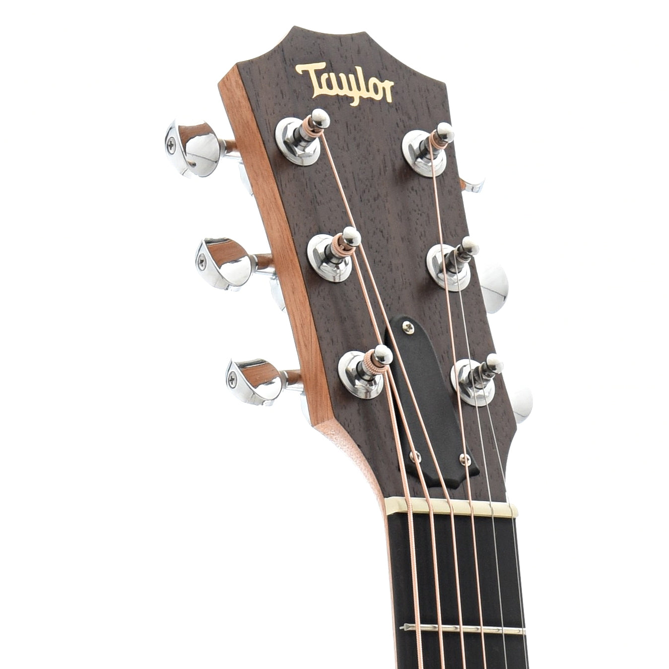 Front Headstock of Taylor GS Mini Mahogany Top 6-String Acoustic Guitar