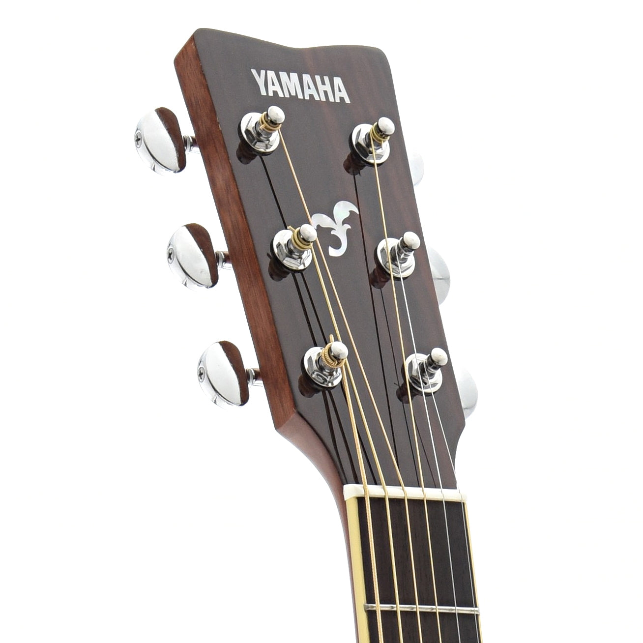Front headstock of Yamaha FS820 Acoustic 
