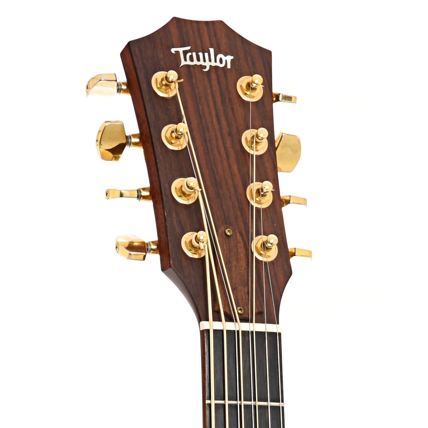 Front headstock of Taylor GT8 Baritone Acoustic 