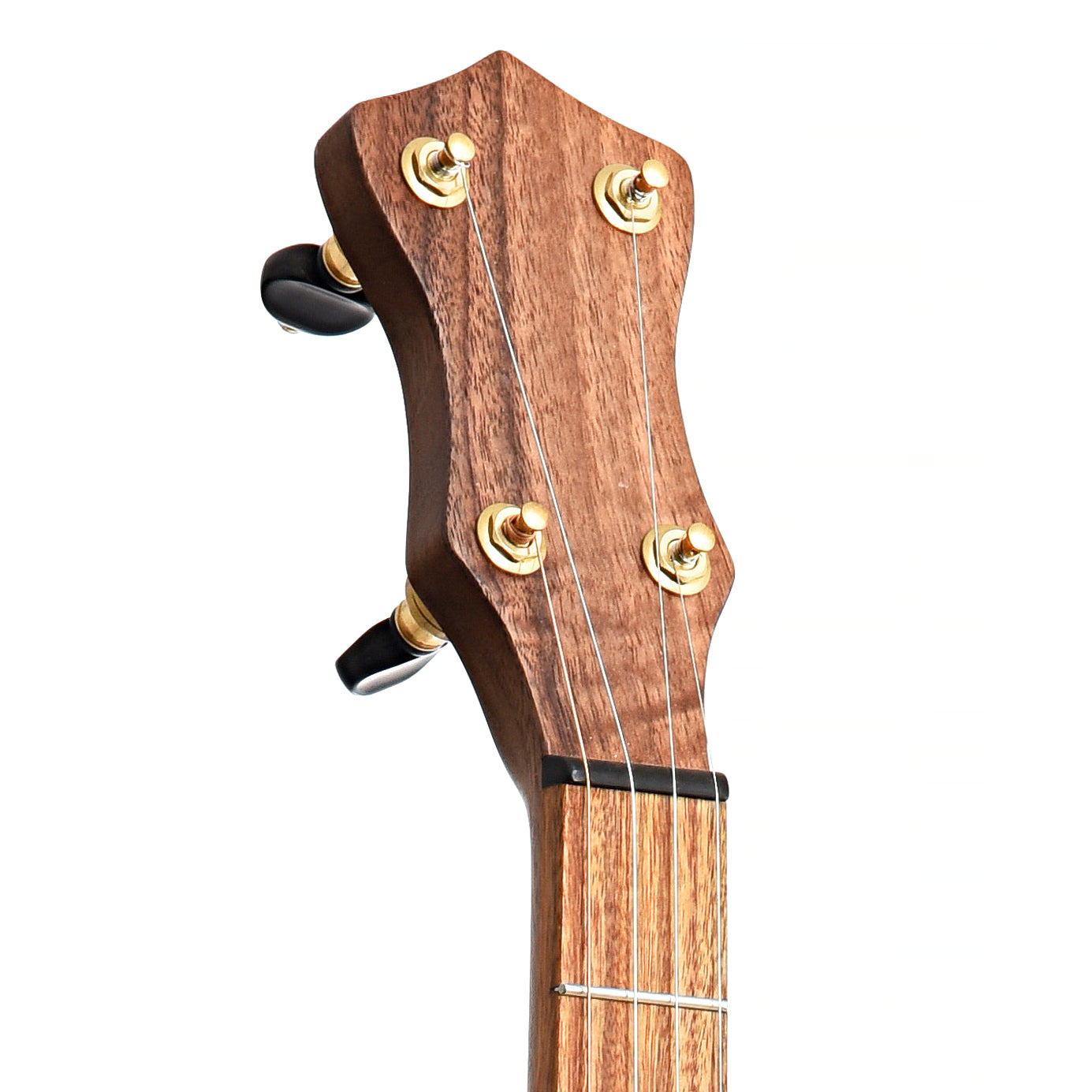 Image 6 of Dogwood Banjo Co. 12" Openback Banjo, No. 163 - SKU# DW163 : Product Type Open Back Banjos : Elderly Instruments