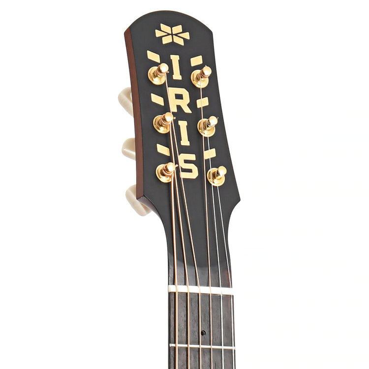 Image 7 of Iris Guitar Company DE-11 Dan Erlewine Signature Model Acoustic Guitar - SKU# IDE-11 : Product Type Flat-top Guitars : Elderly Instruments