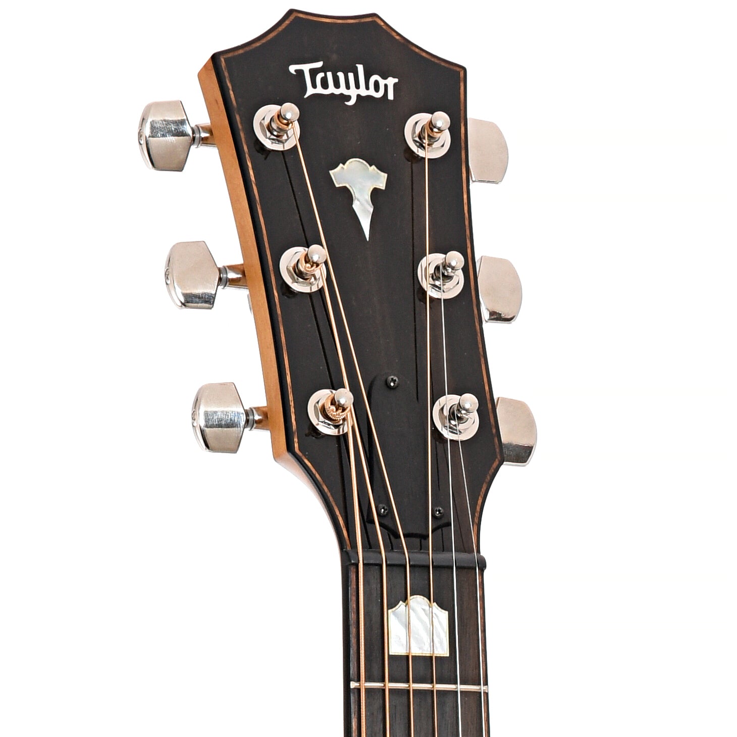 Front headstock of Taylor 618e Acoustic-Electric 