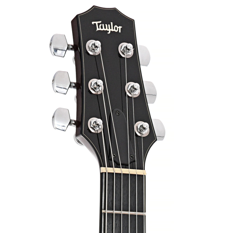 Headstock of Taylor SB-2 Electric Guitar (2012)