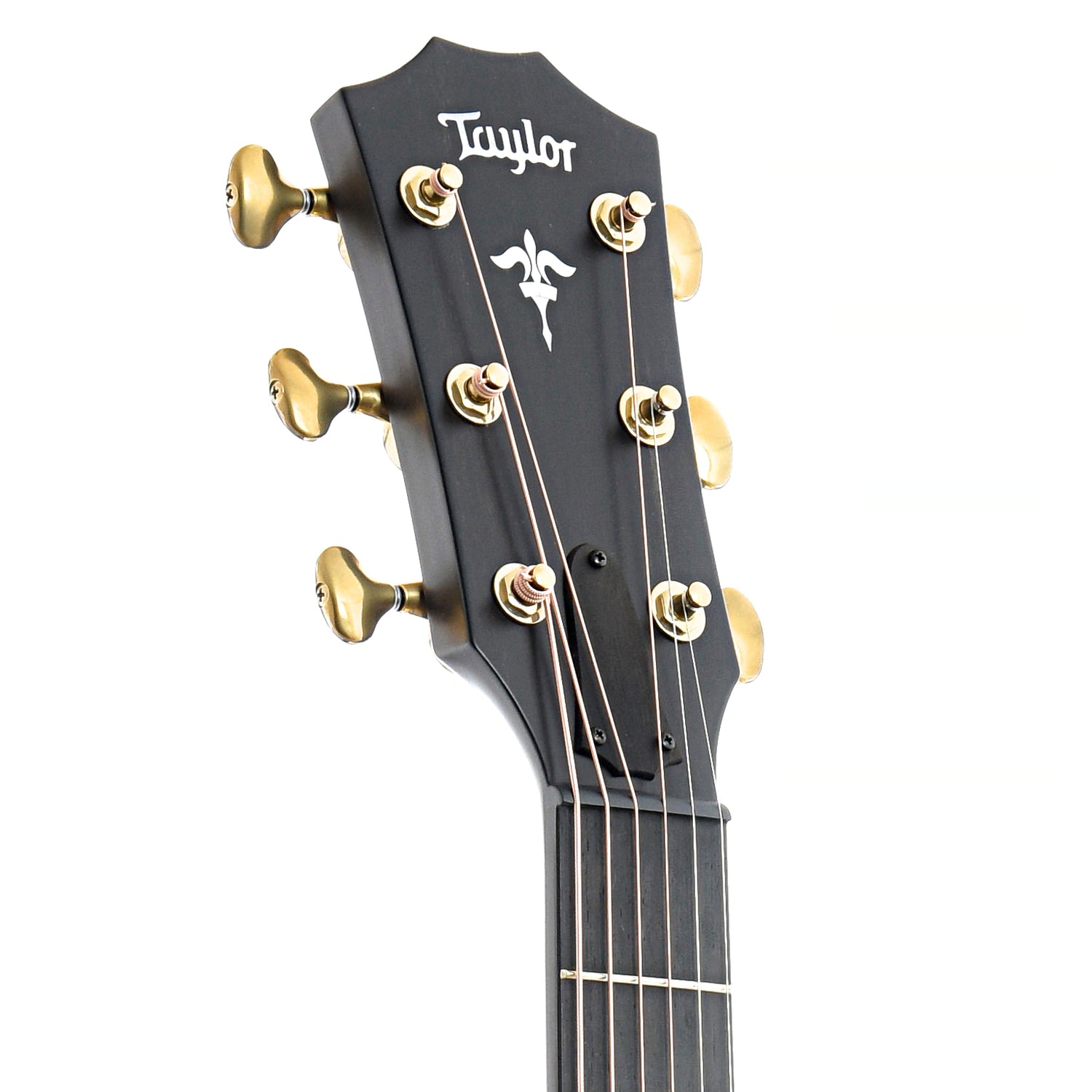 Front Headstock of Taylor 614ce Builder's Edition Wild Honey Burst