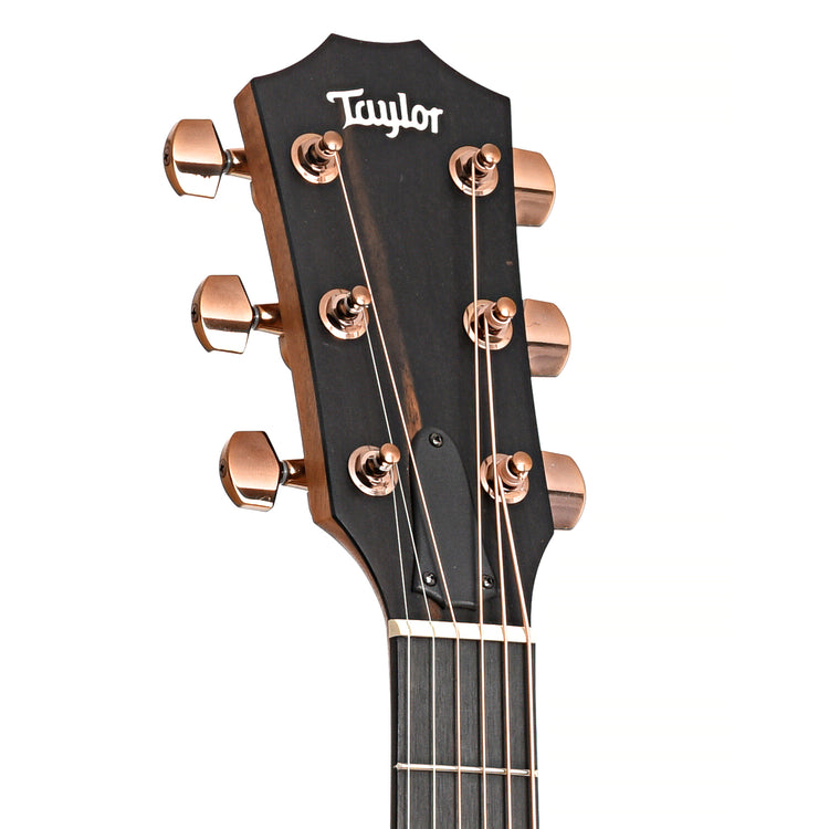 Image 7 of Taylor 214ce Deluxe & Case, Left Handed - SKU# 214CEDLXLH : Product Type Flat-top Guitars : Elderly Instruments