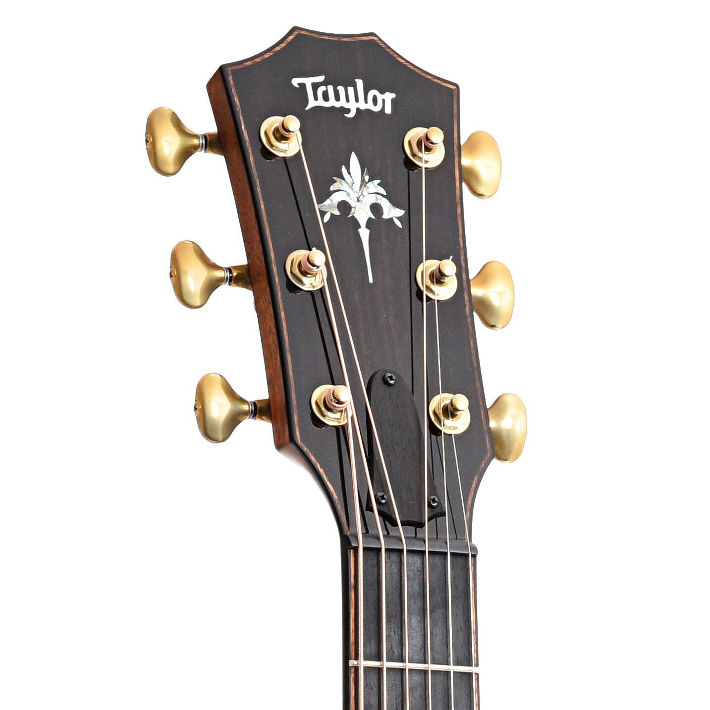 Front Headstock of Taylor 914ce Acoustic Guitar