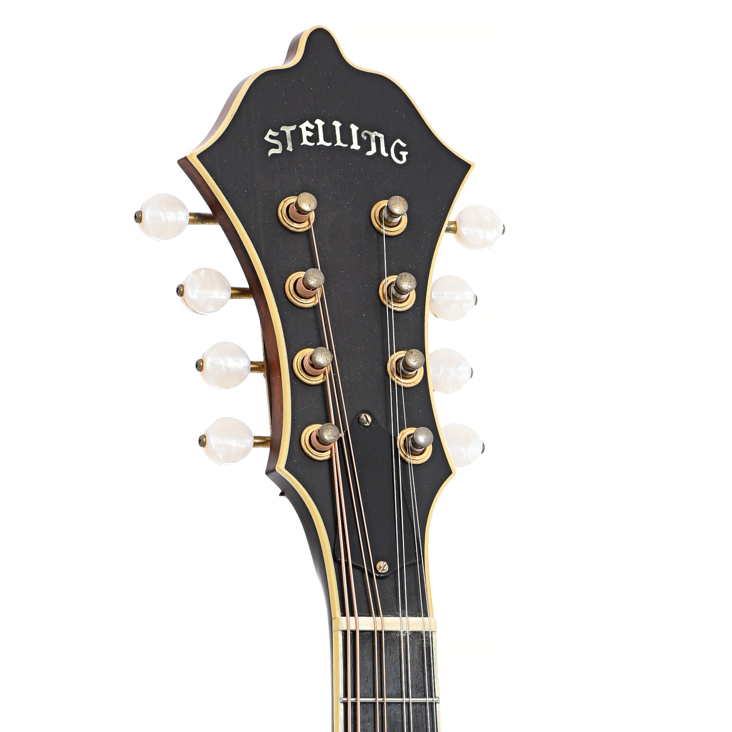 Front headstock of Stelling Mandolin