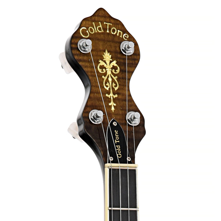 Front headstock of Gold Tone WL-250 Whyte Laydie Openback Banjo