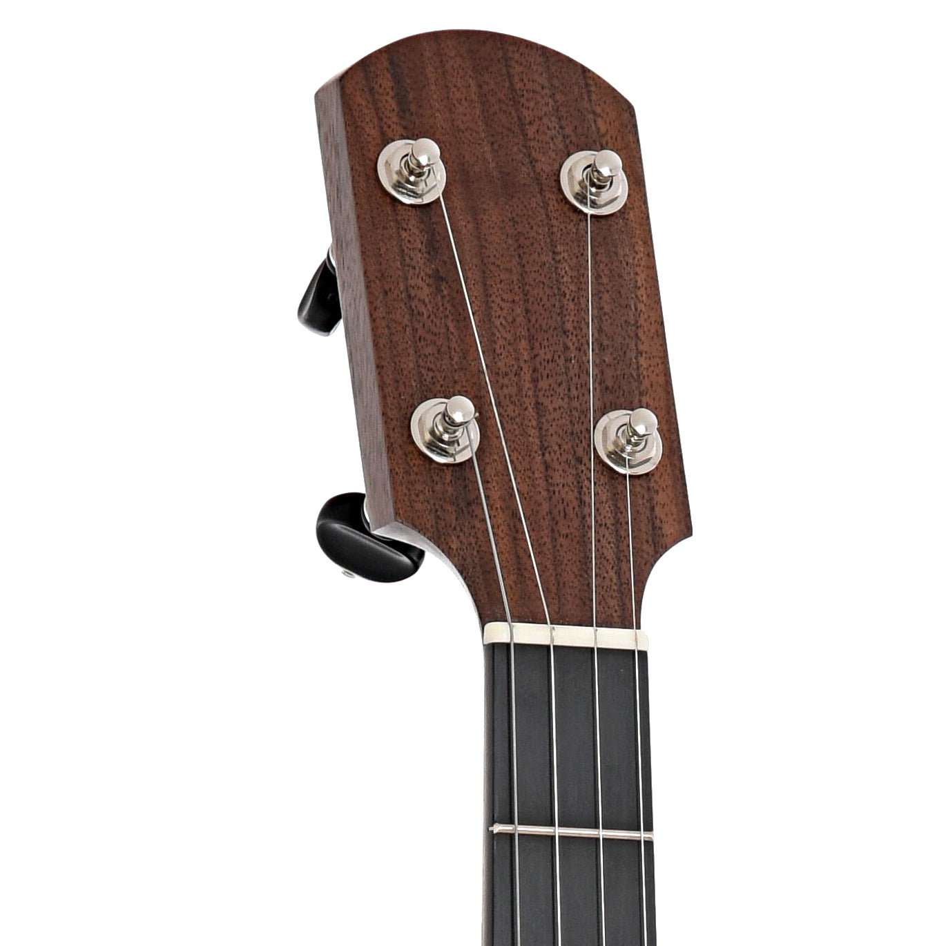 Front Headstock of Kevin Enoch 12" Tradesman Banjo 