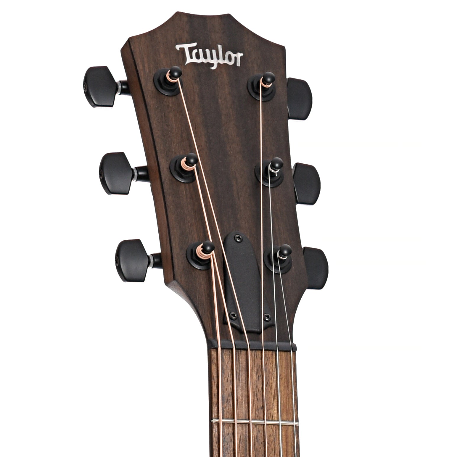 Front headstock of Taylor AD12e-SB Acoustic 