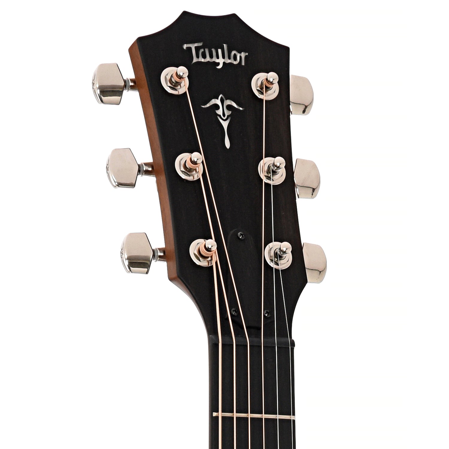 Front headstock of Taylor 512ce Acoustic 
