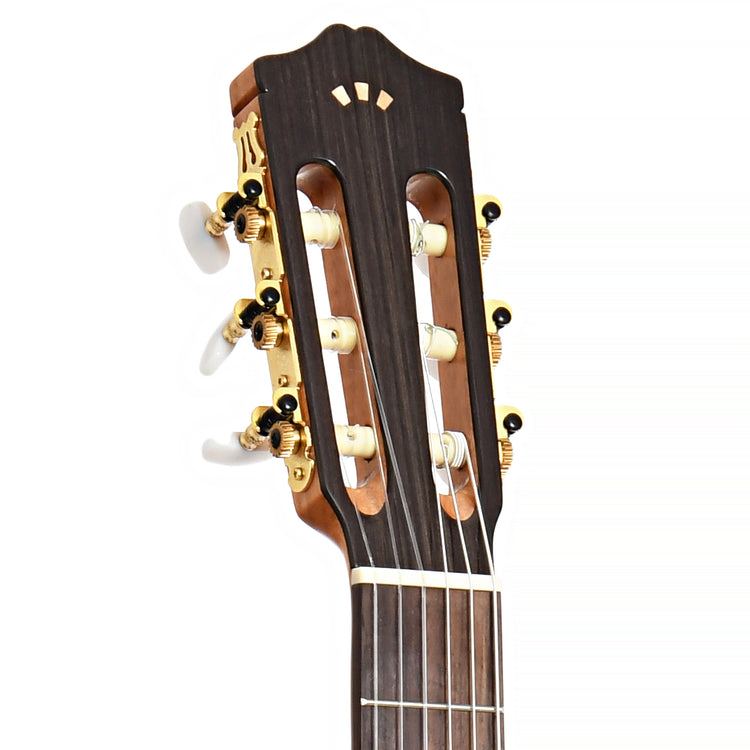 Image 7 of Cordoba C5-CE Lefty Classical Guitar - SKU# CORC5CEL : Product Type Classical & Flamenco Guitars : Elderly Instruments