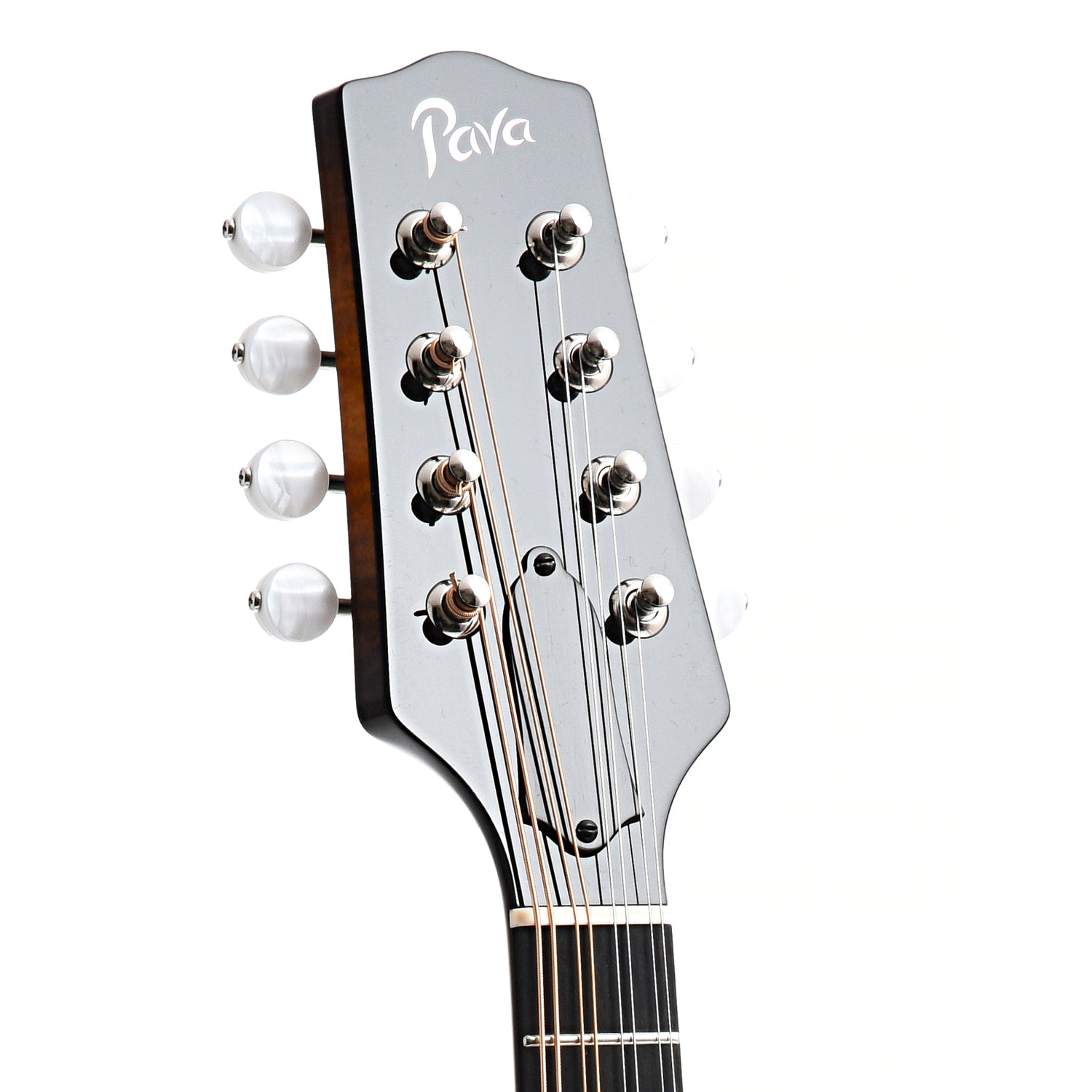 Front Headstock of Pava A5 Player Model A-Mandolin 