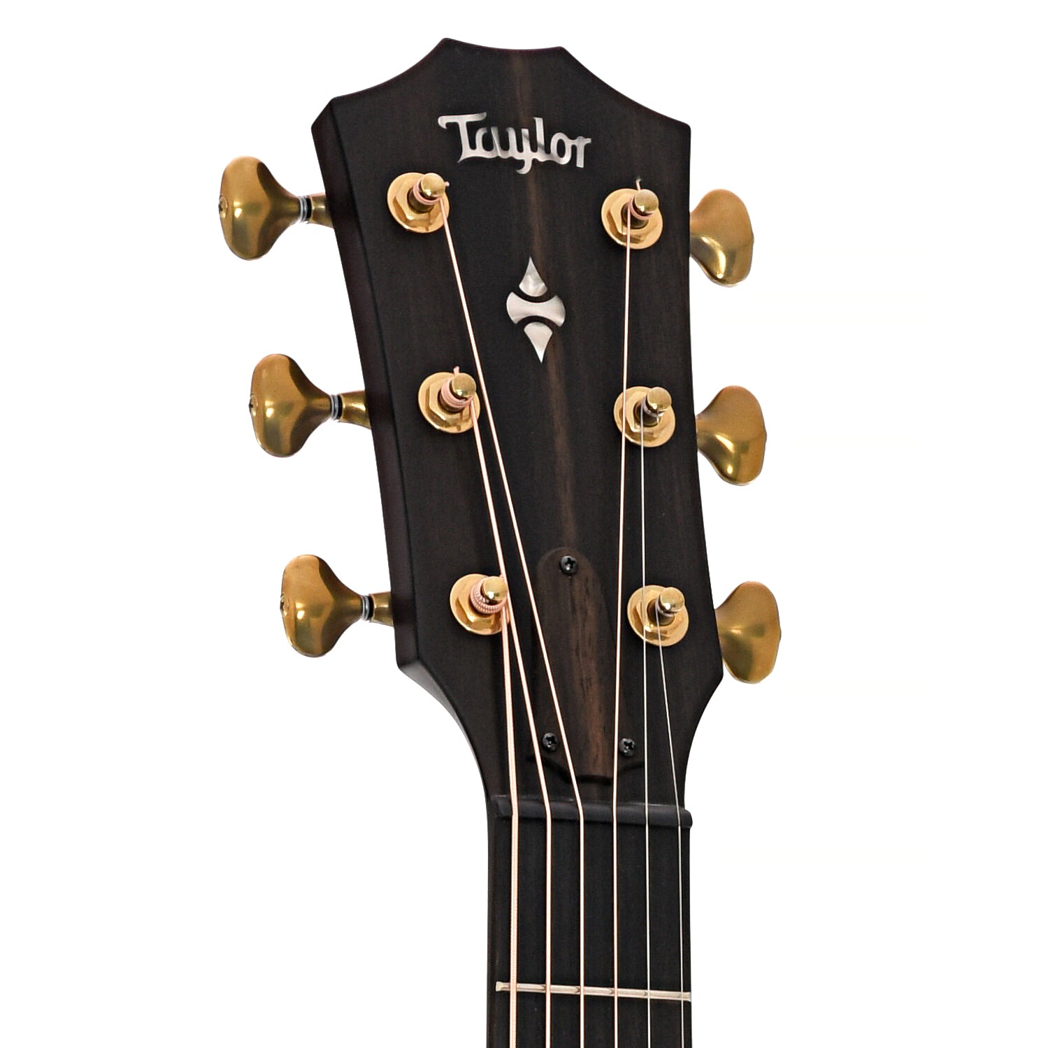 Front headstock of Taylor Builder's Edition 324ce Acoustic