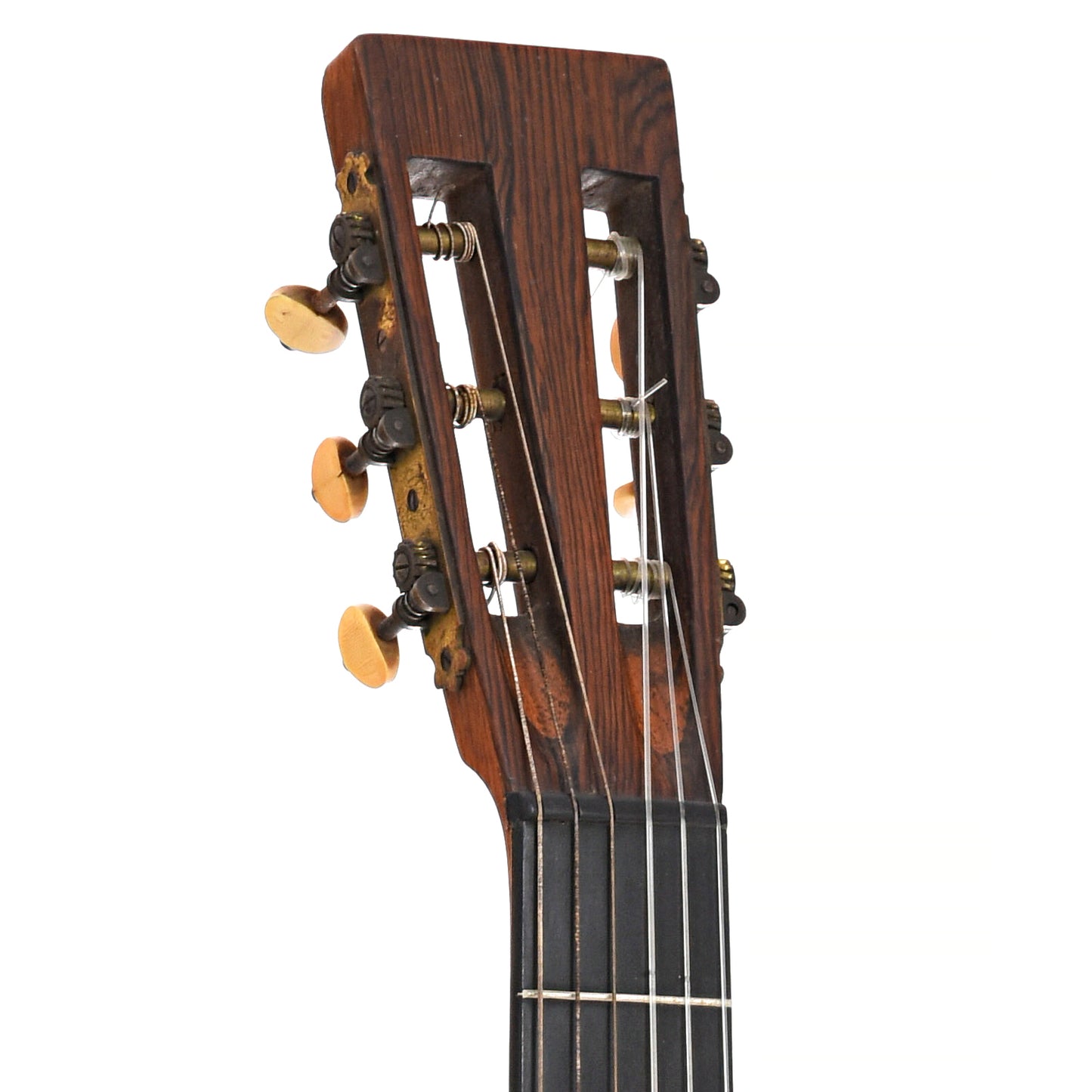 Front headstock of Washburn Model 1895