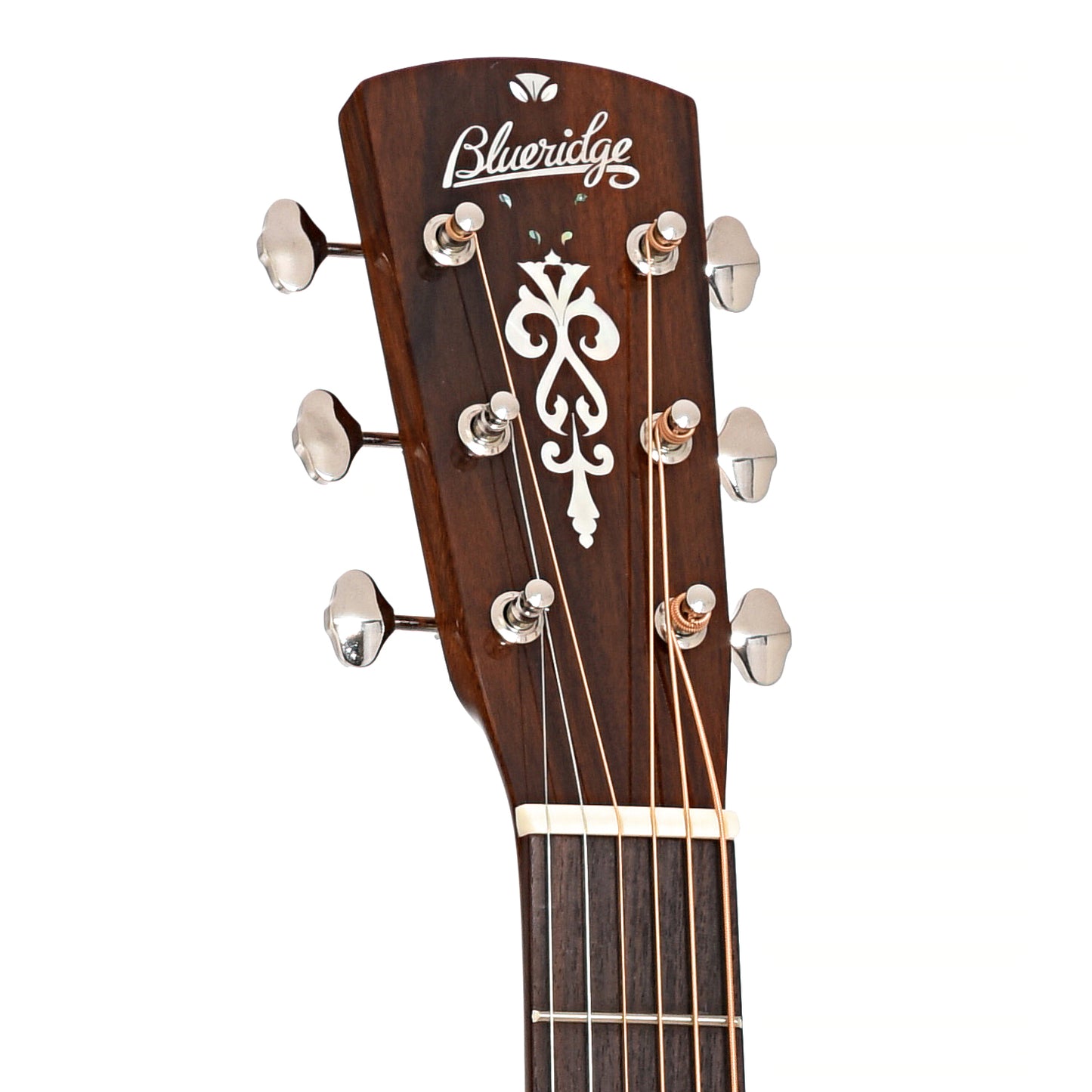Front headstock of Blueridge Contemporary Series BR-43LH Left Handed 000 Acoustic