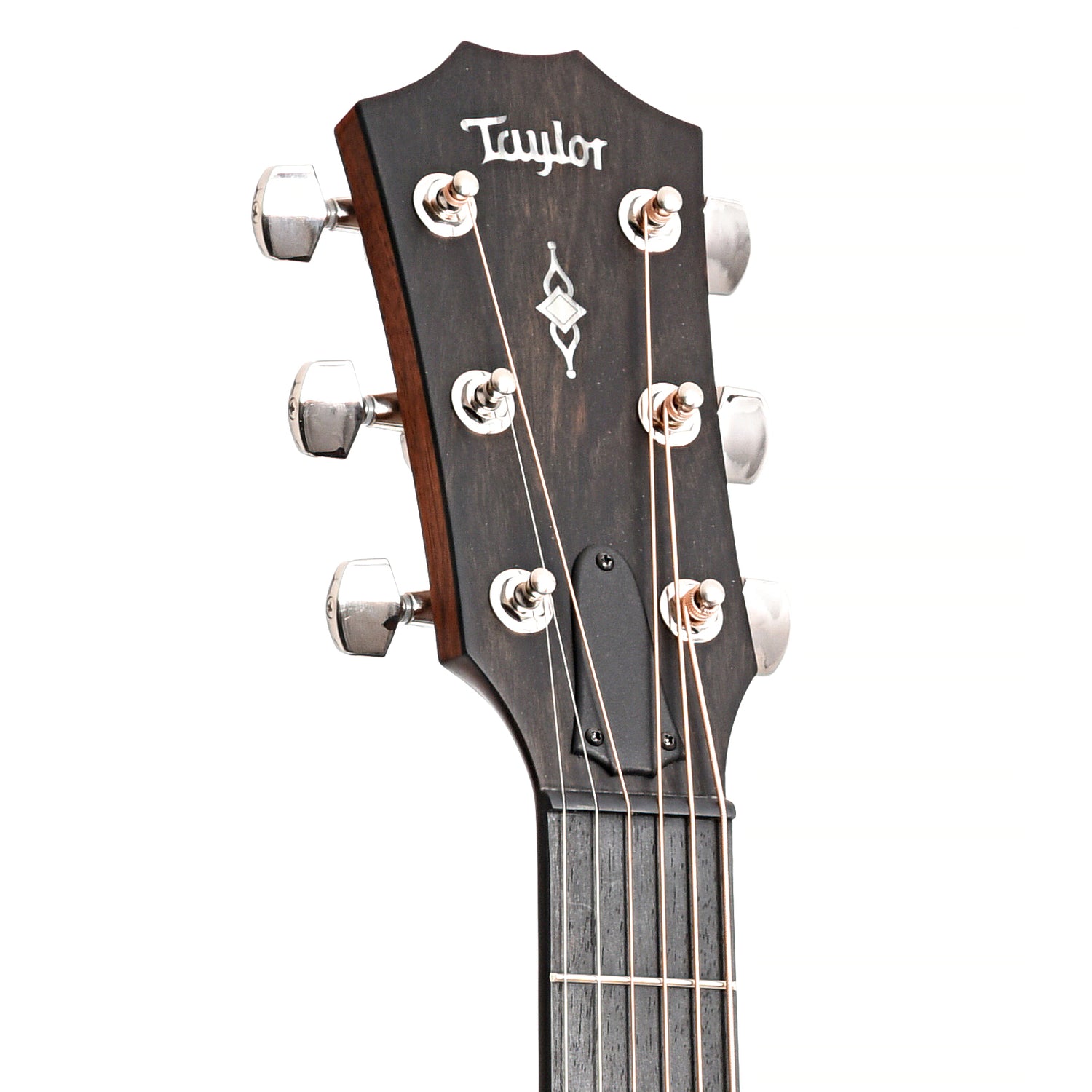front headstock of Taylor 314ce Left Handed