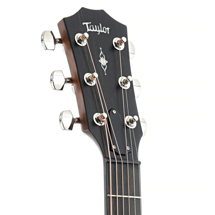 Image 9 of Taylor 317e Acoustic Guitar & Case - SKU# 317E : Product Type Flat-top Guitars : Elderly Instruments