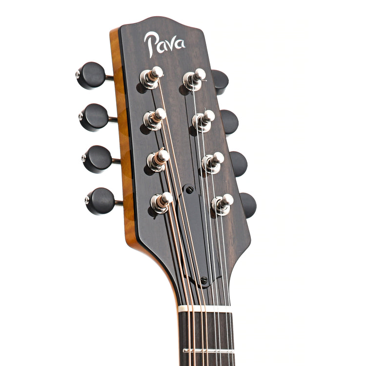 Image 9 of Pava Player Model A-Mandolin & Case, Amber - SKU# PPL-AMBER : Product Type Mandolins : Elderly Instruments