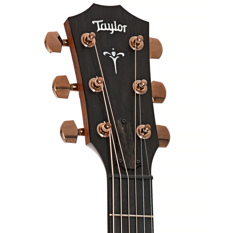 Front headstock of Taylor 722ce Acoustic Guitar
