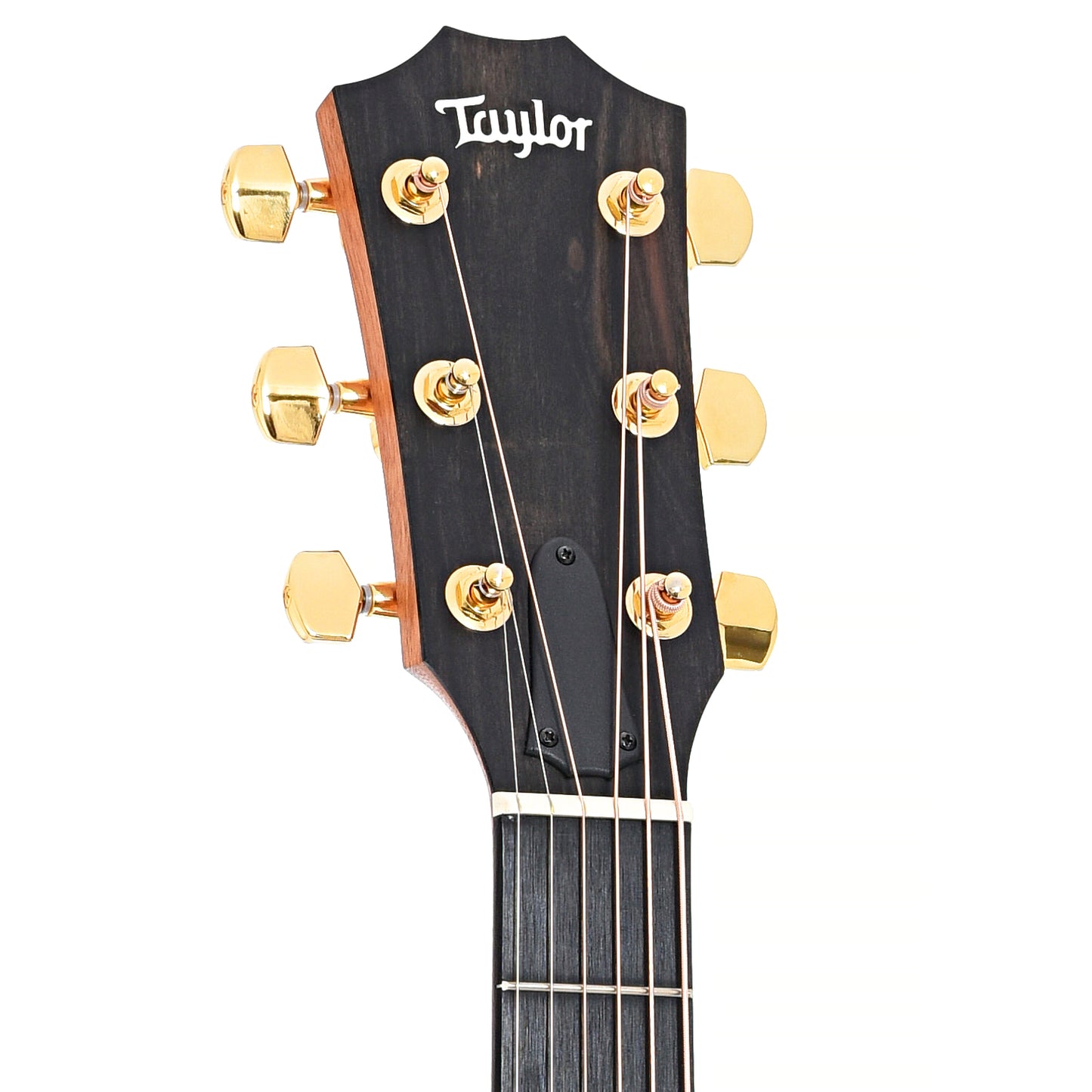 Front headstock of Taylor 224ce-K Deluxe LH