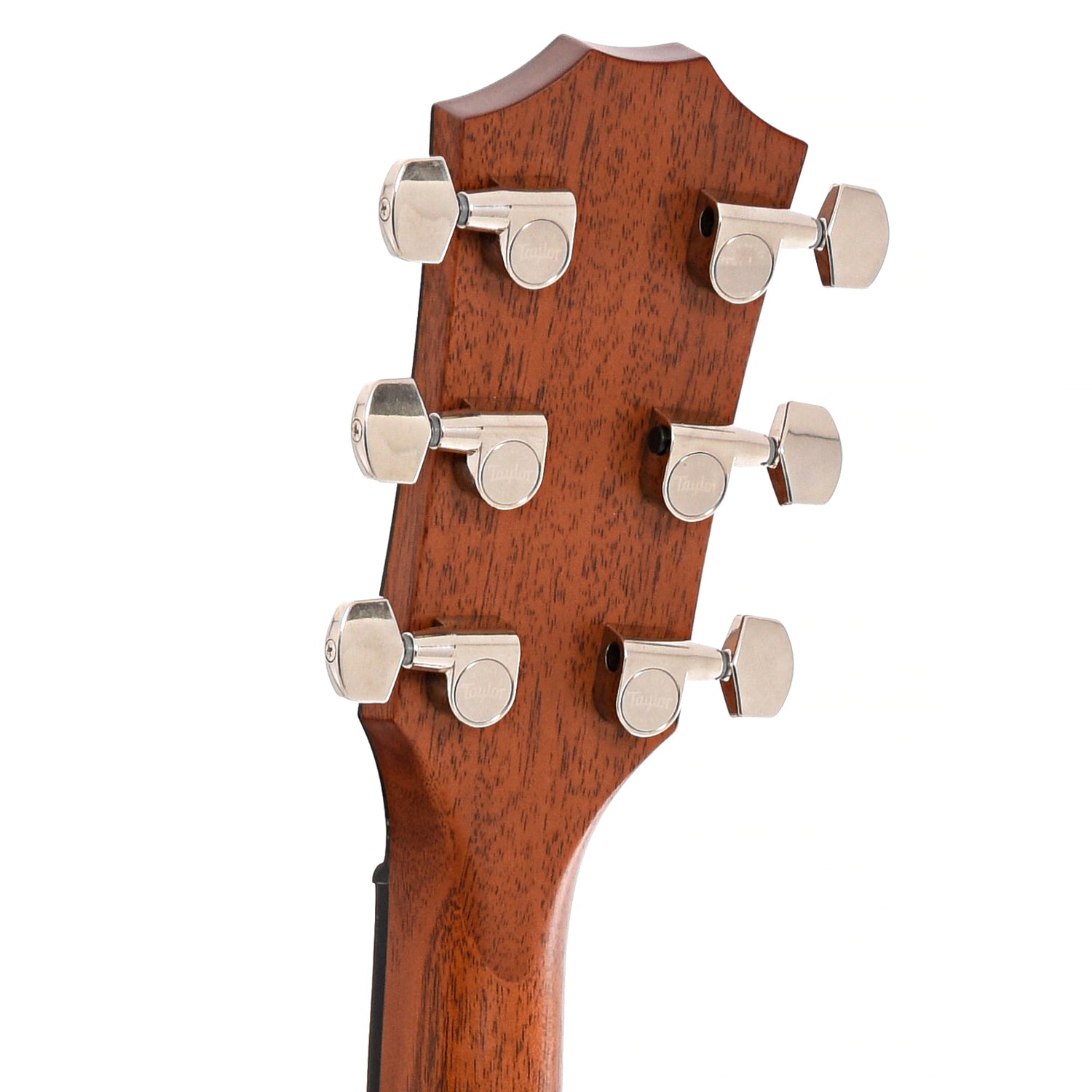 Back headstock of Taylor Builder's Edition 717e  